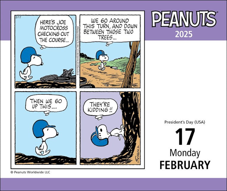 2025 Peanuts - Daily Boxed Page-A-Day Calendar