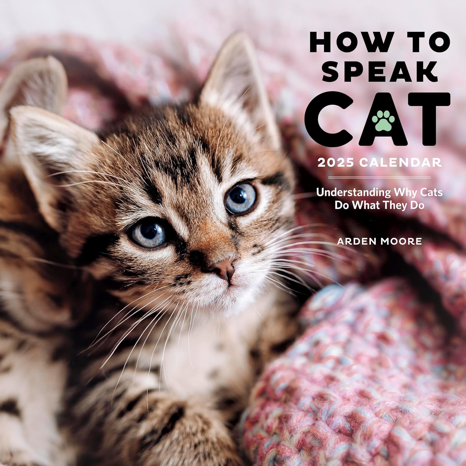 2025 How to Speak Cat - Square Wall Calendar