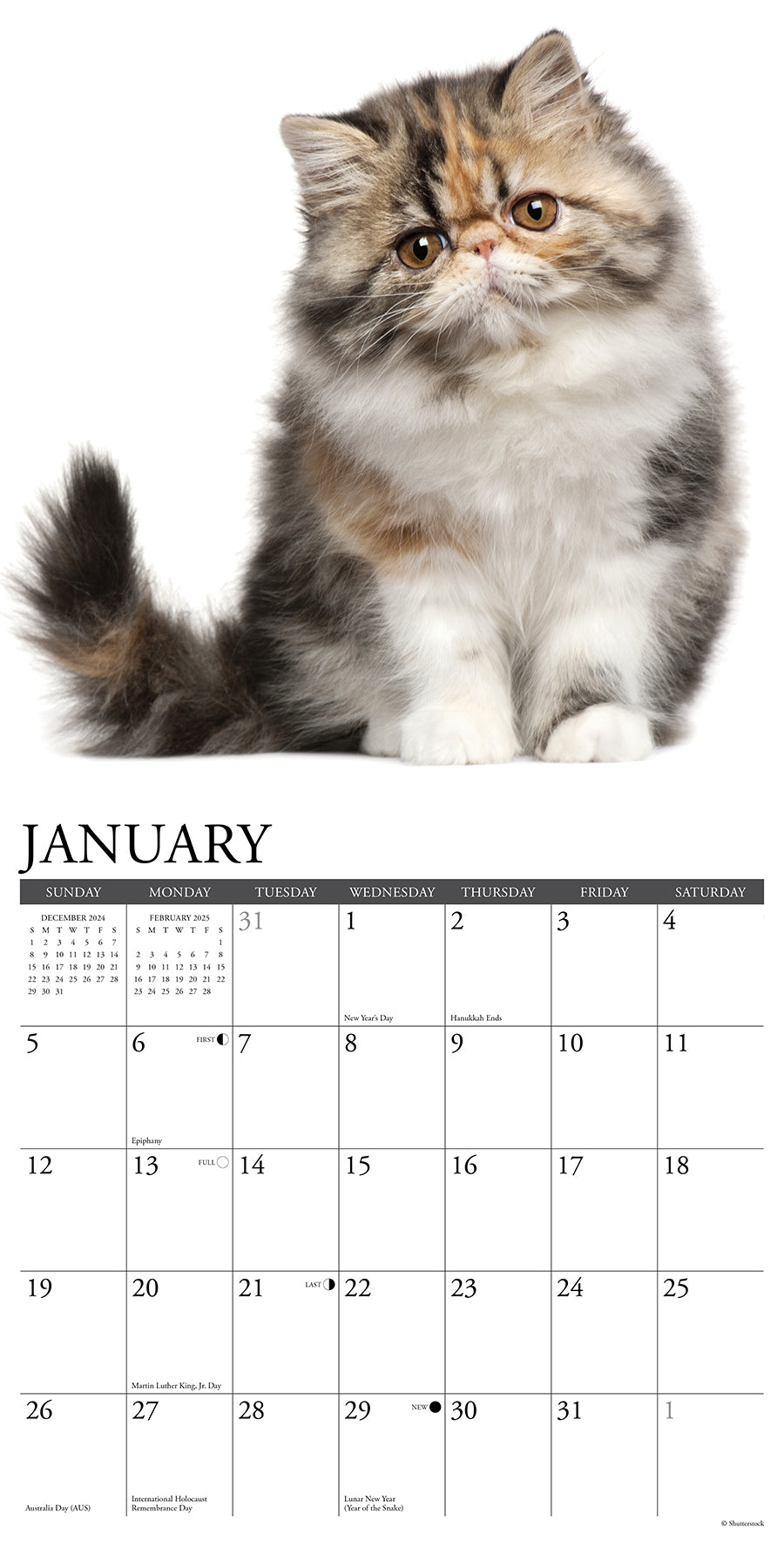 2025 Persians - Square Wall Calendar (US Only)