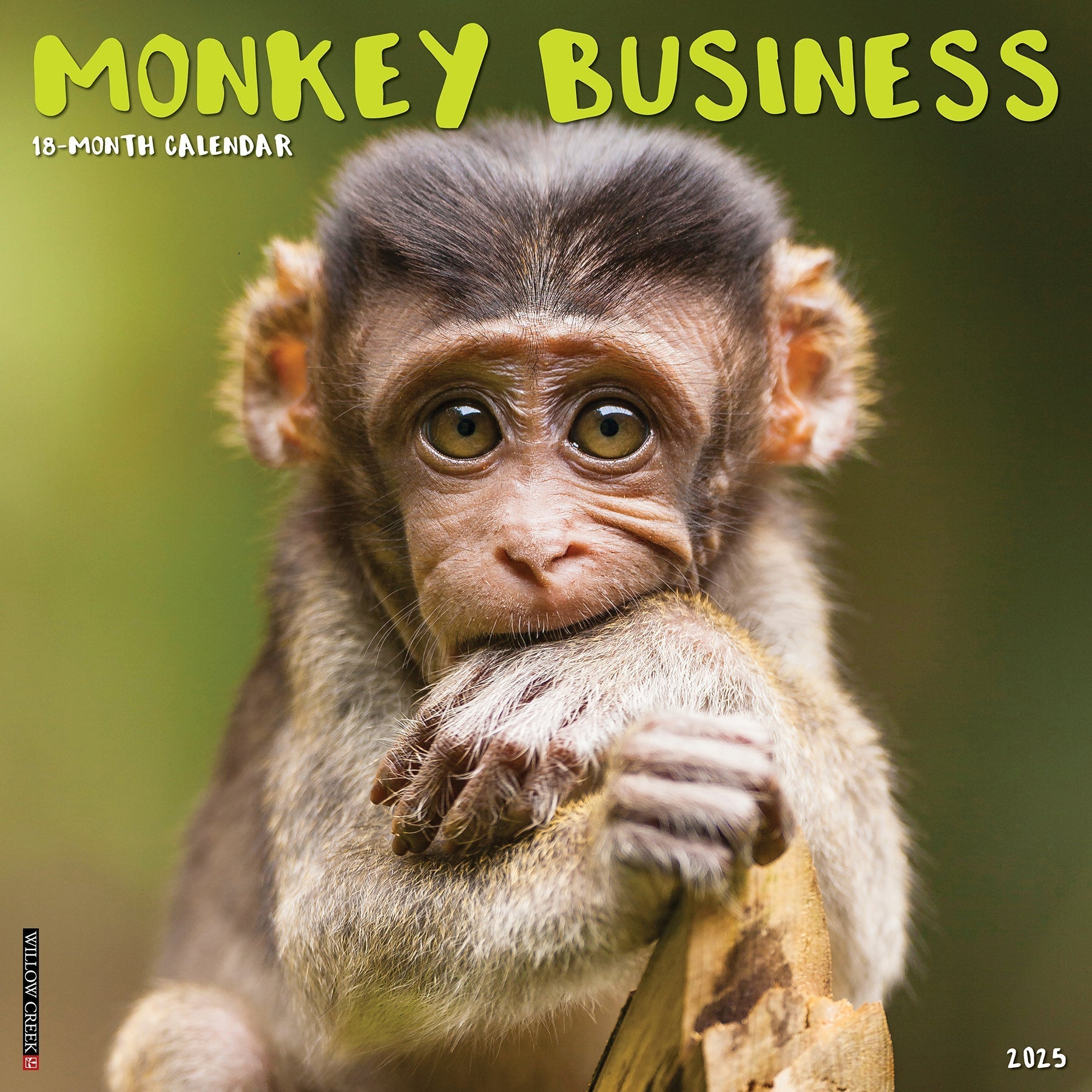 2025 Monkey Business - Square Wall Calendar (US Only)