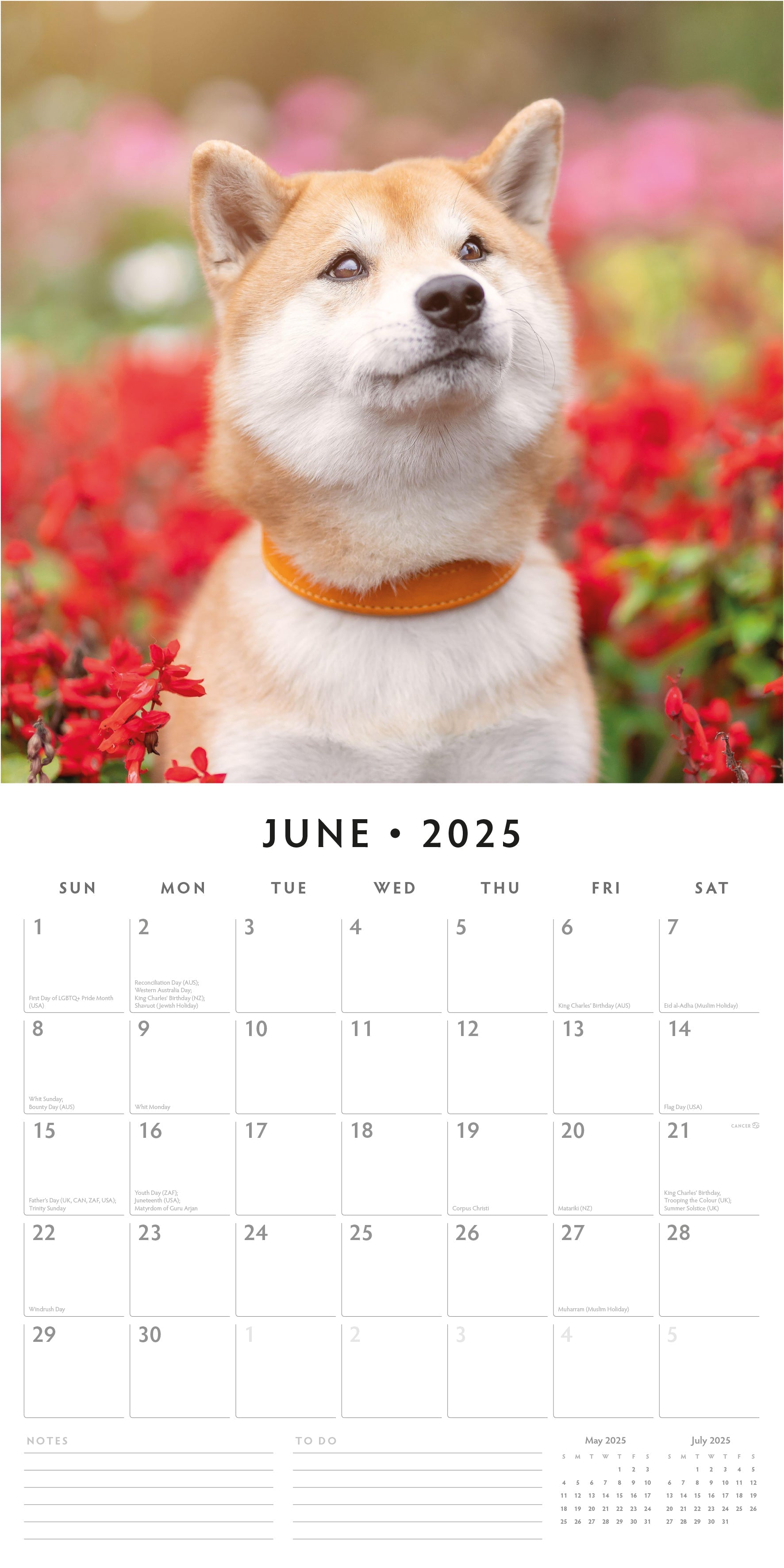 2025 Shiba Inu - Square Wall Calendar