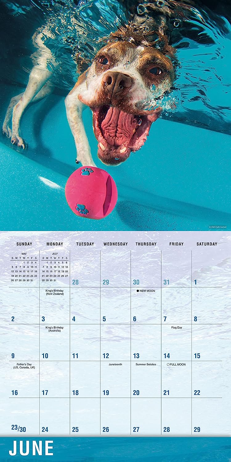 2024 Underwater Dogs: Seth Castell - Square Wall Calendar  SOLD OUT