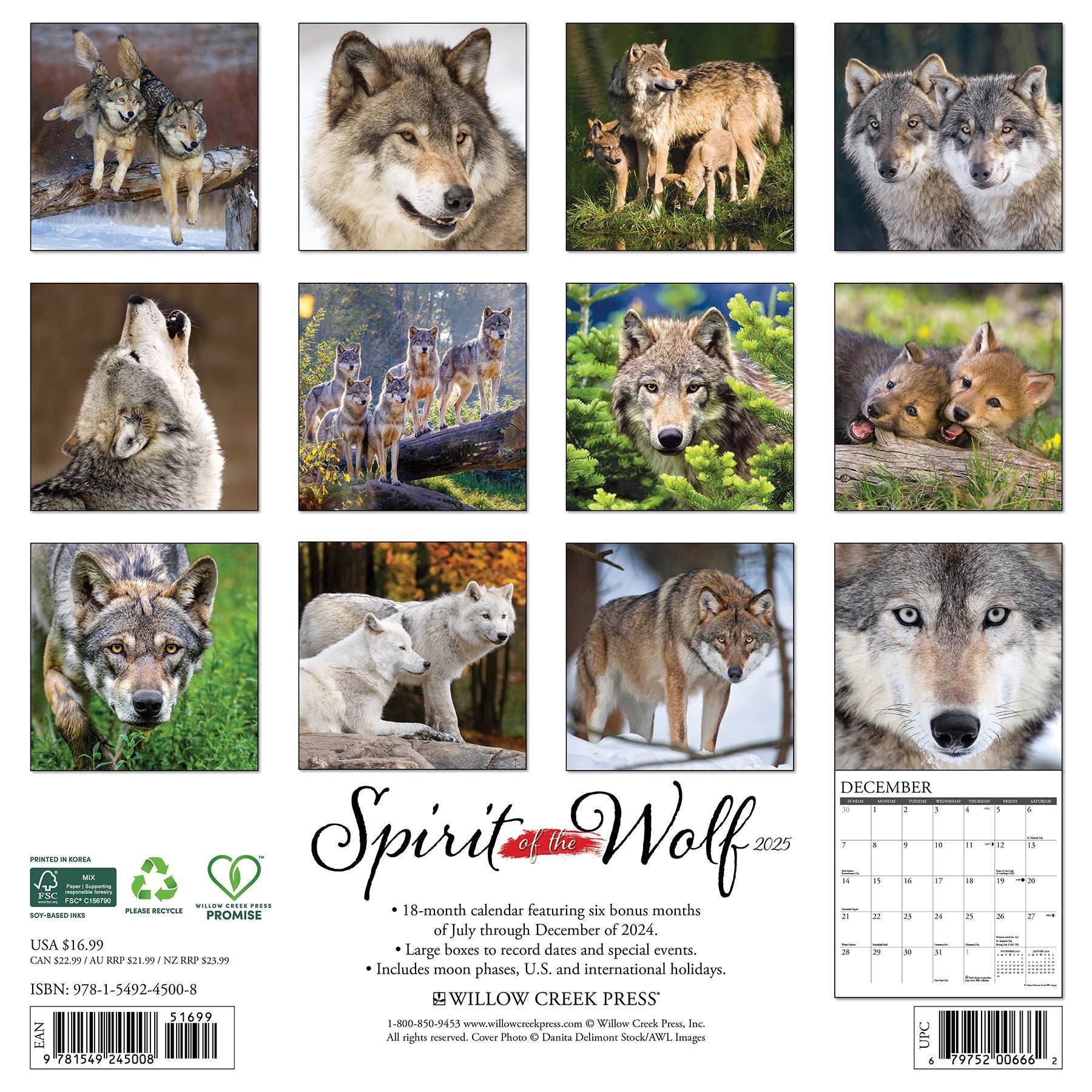 2025 Spirit of the Wolf - Square Wall Calendar (US Only)