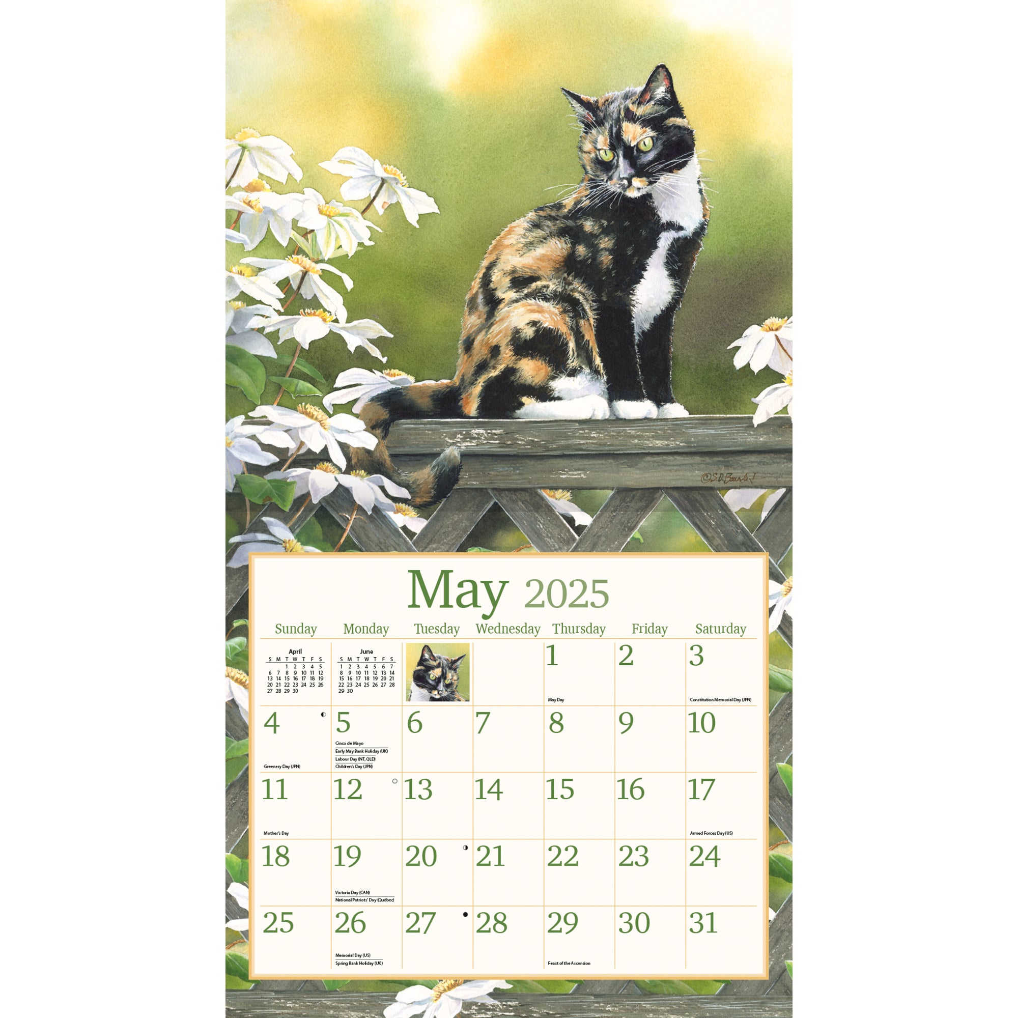 2025 LANG Cats In The Country By Susan Bourdet - Deluxe Wall Calendar