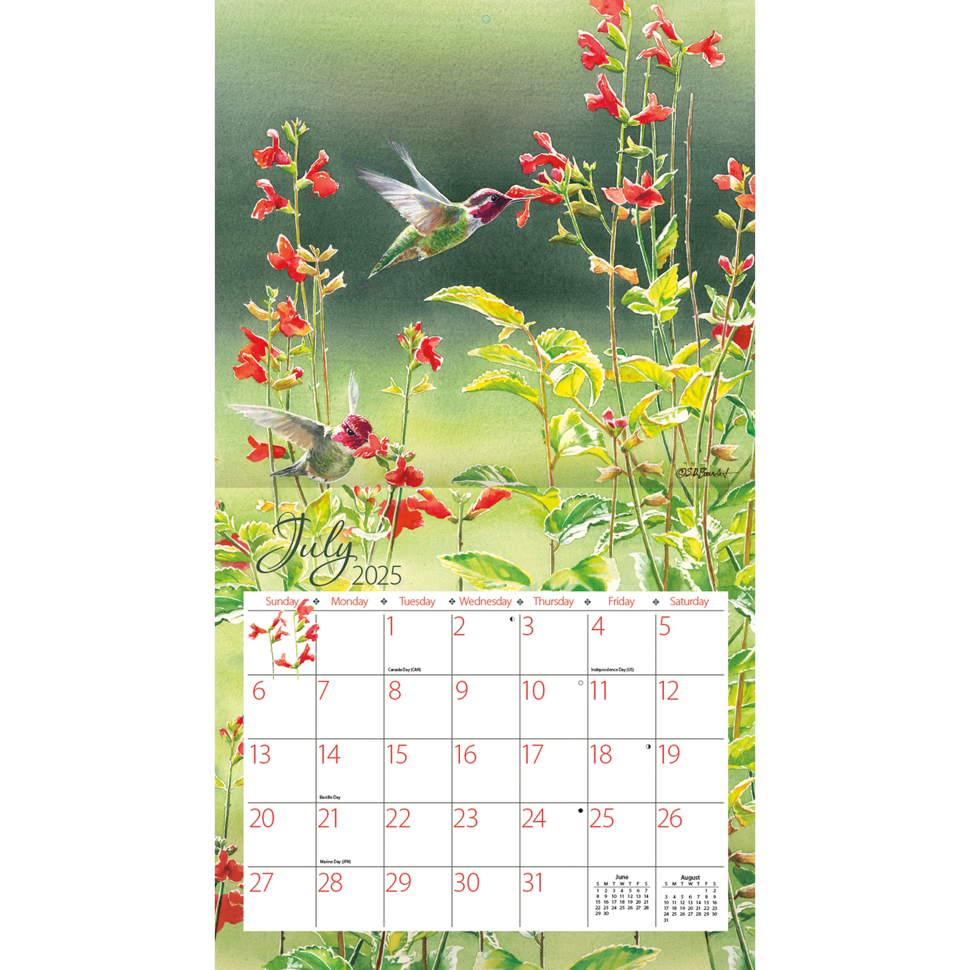 2025 LANG Hummingbirds By Susan Bourdet  - Deluxe Wall Calendar