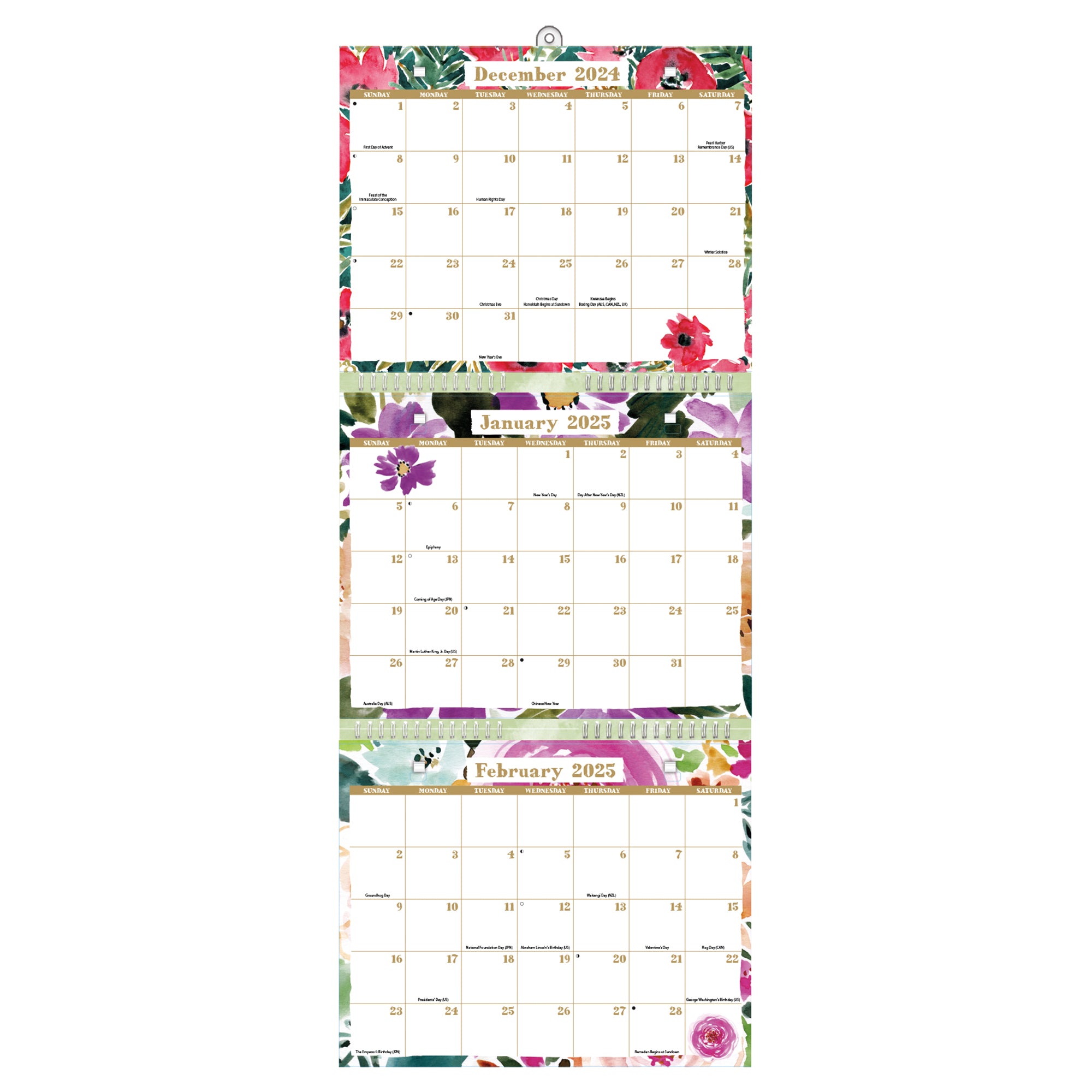 2025 Grow Wild Tri-View - 3-Month View Wall Calendar