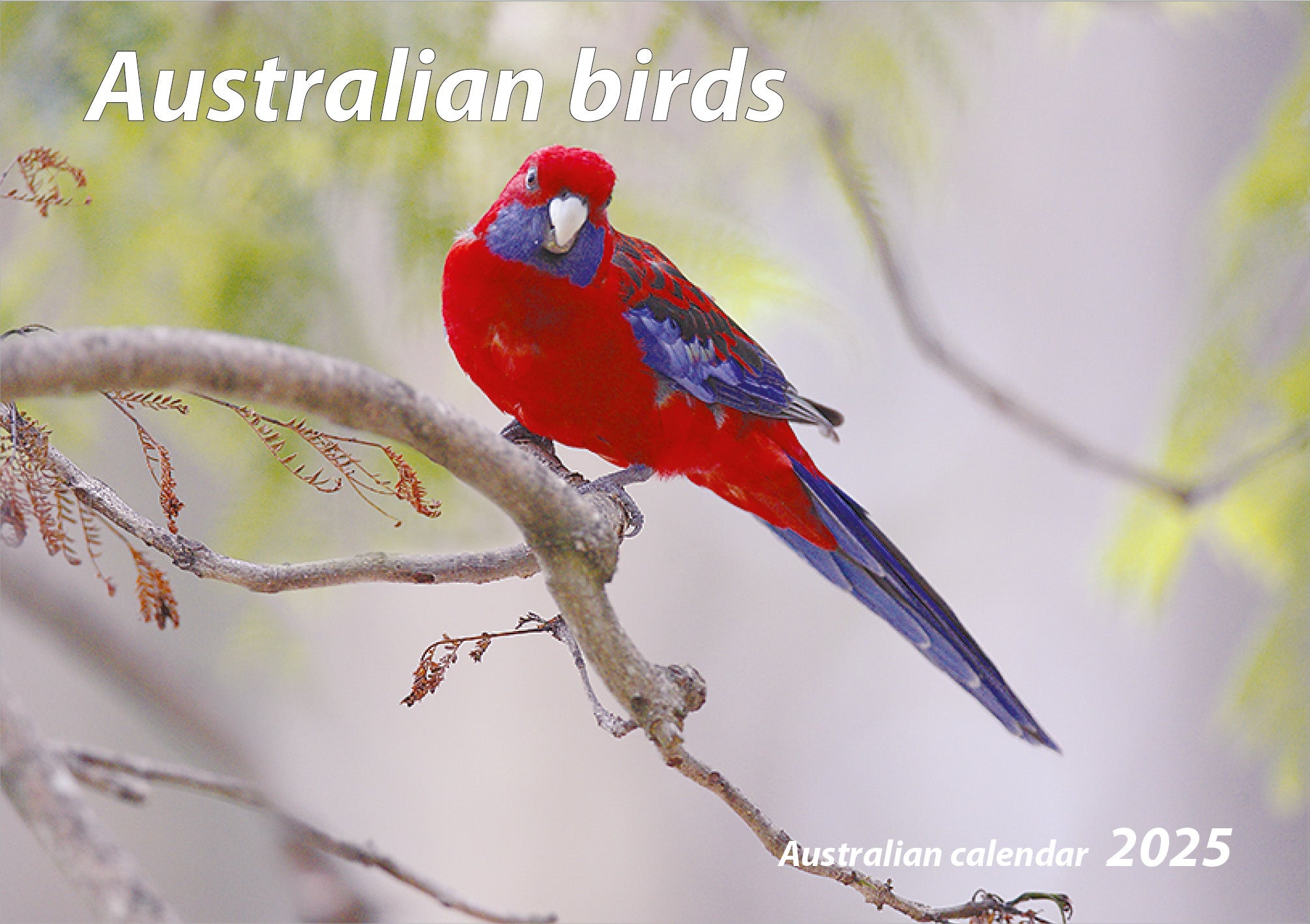 2025 Australian Birds - Horizontal Wall Calendar