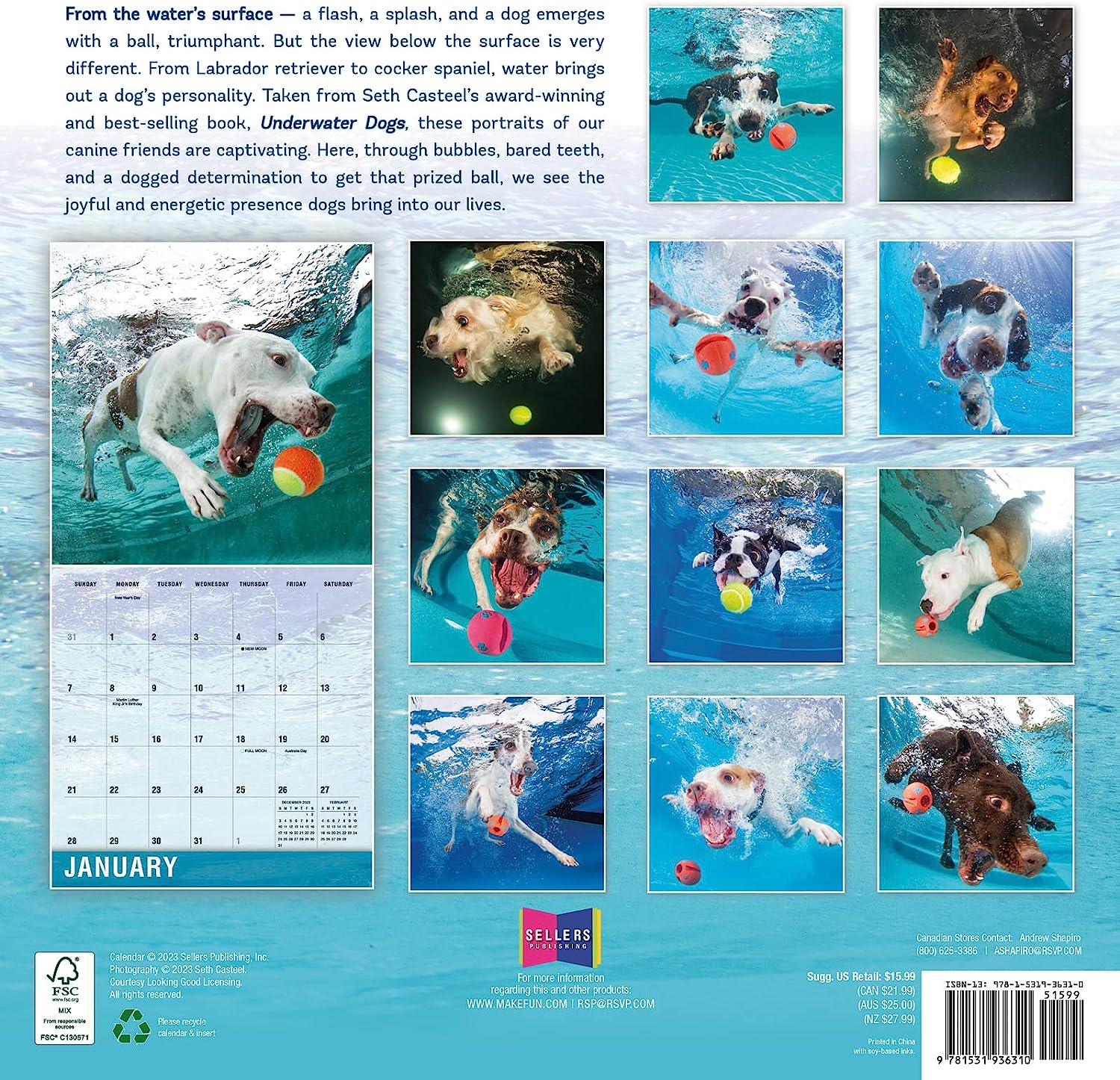 2024 Underwater Dogs: Seth Castell - Square Wall Calendar  SOLD OUT