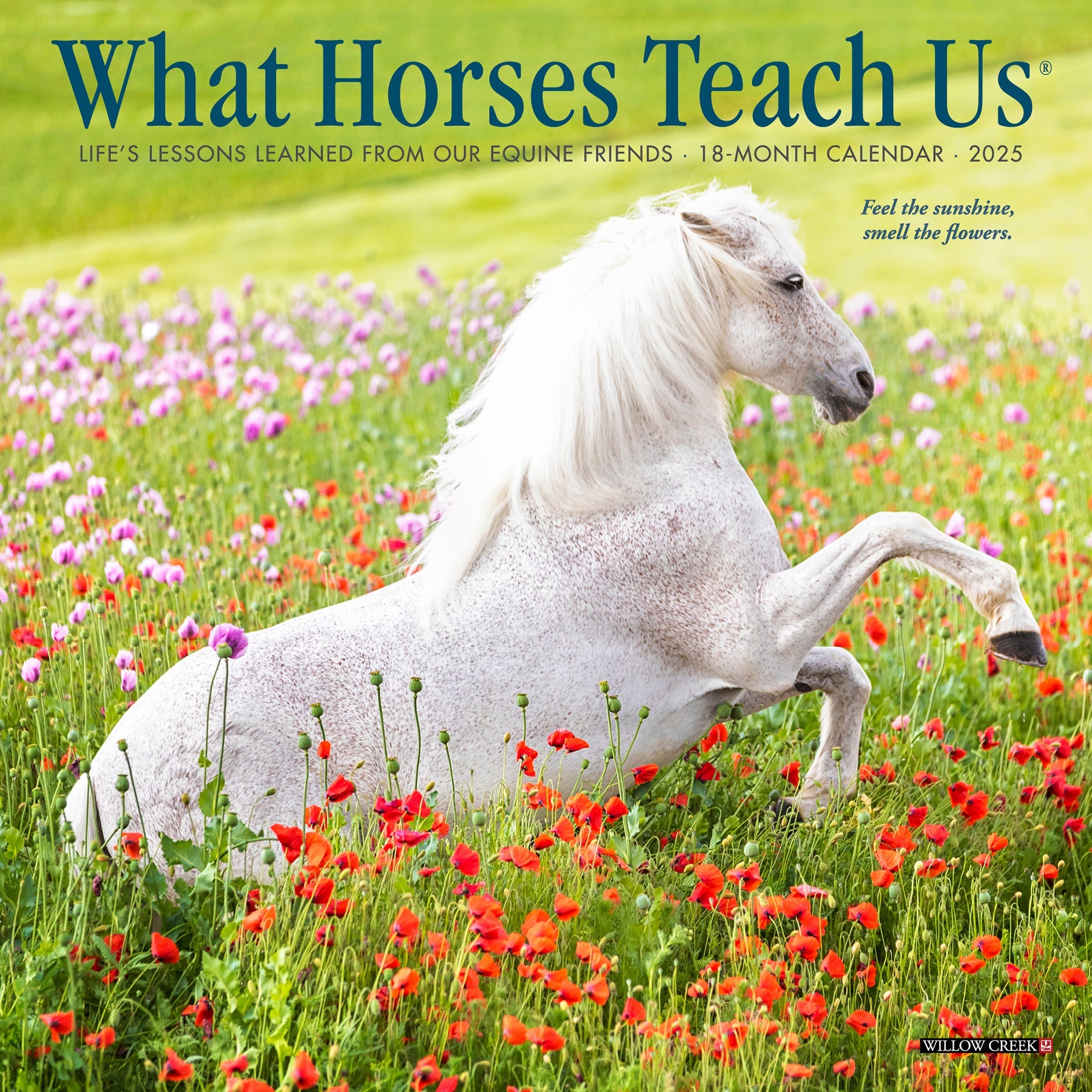 2025 What Horses Teach Us - Mini Wall Calendar (US Only)
