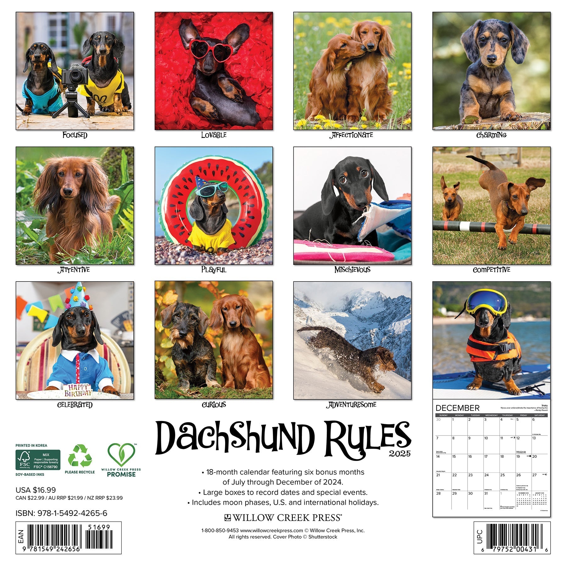 2025 Dachshund Rules - Square Wall Calendar (US Only)