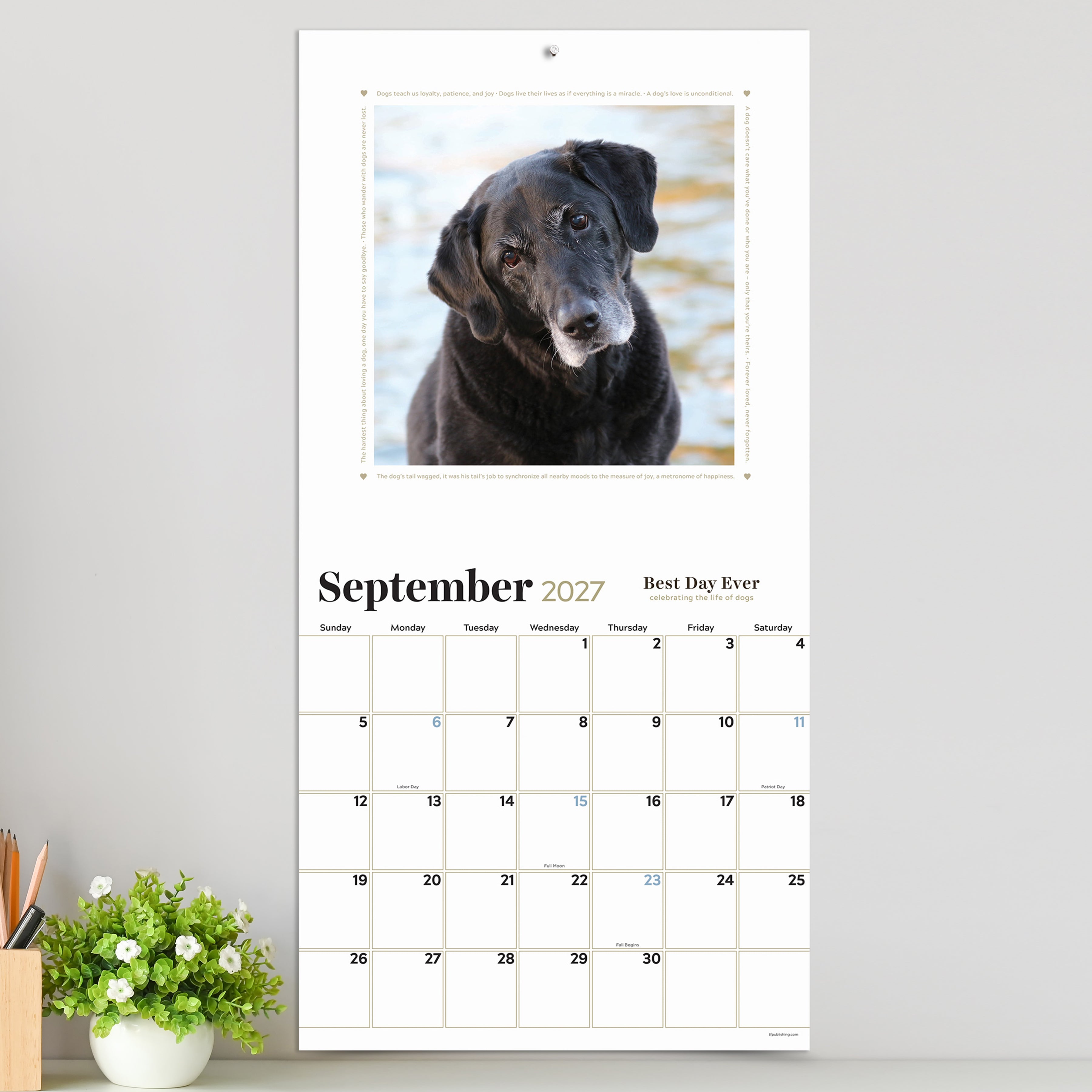 2027 Best Day Ever: Celebrating The Life of Dogs - Square Wall Calendar