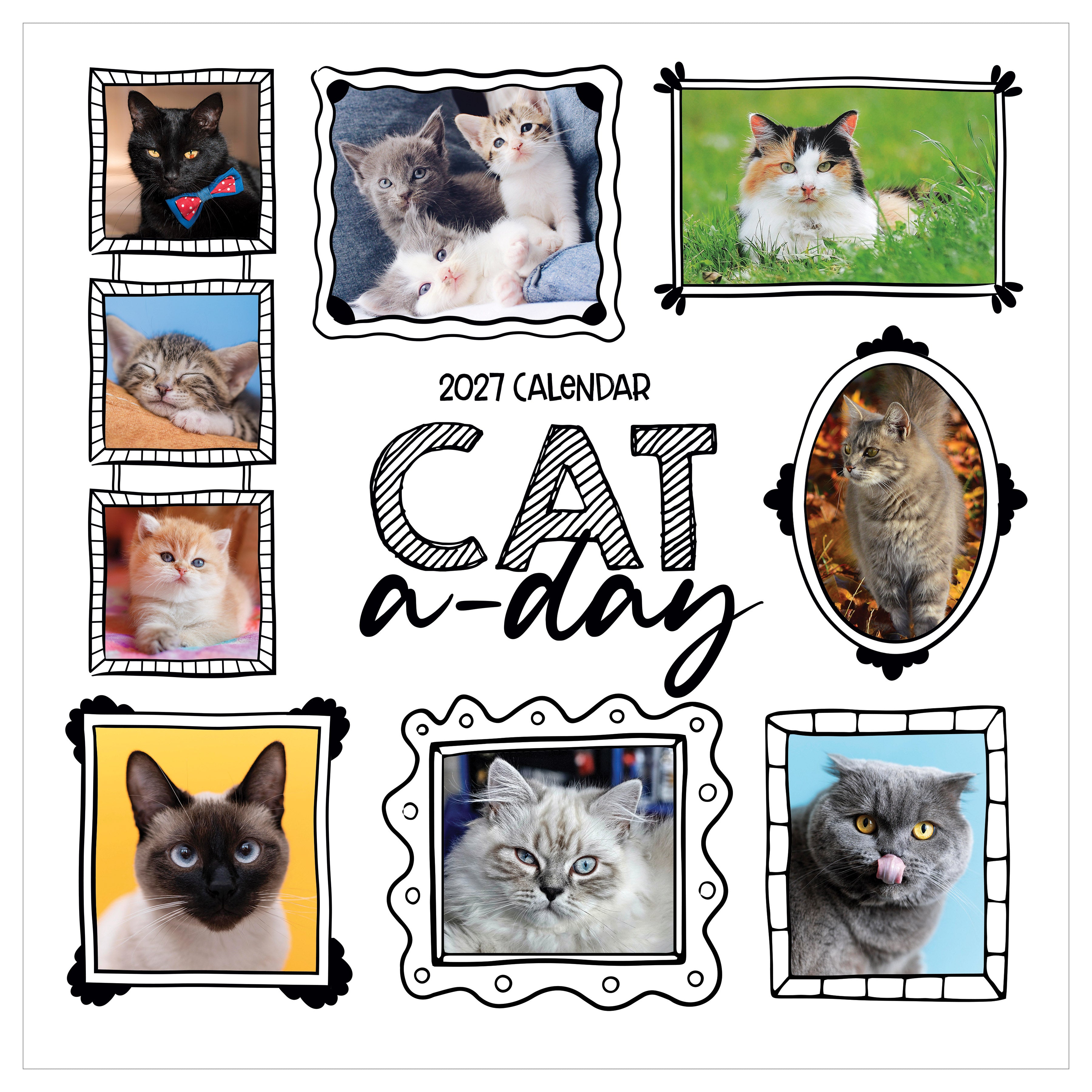 2027 Cat-A-Day - Square Wall Calendar