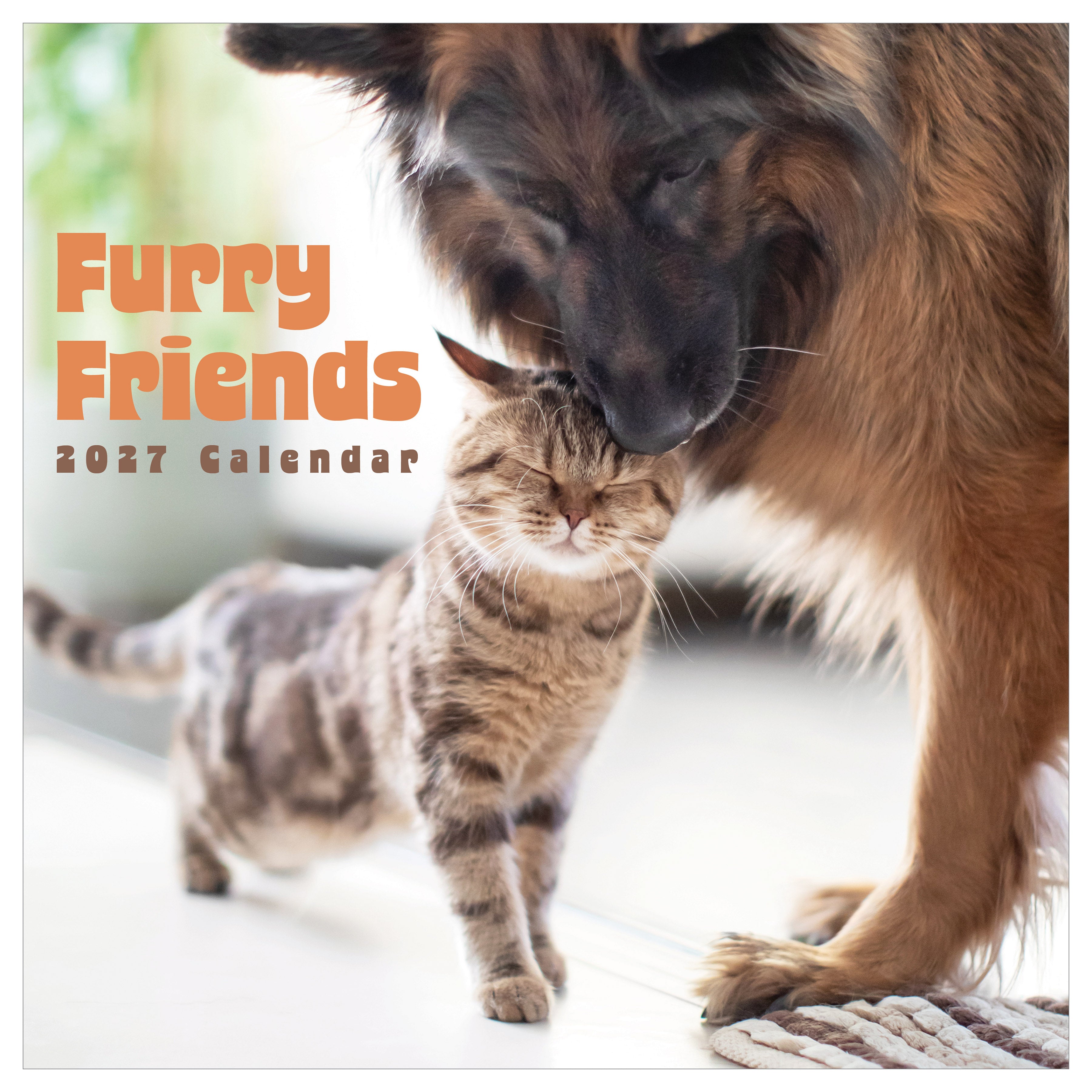 2027 Furry Friends - Square Wall Calendar