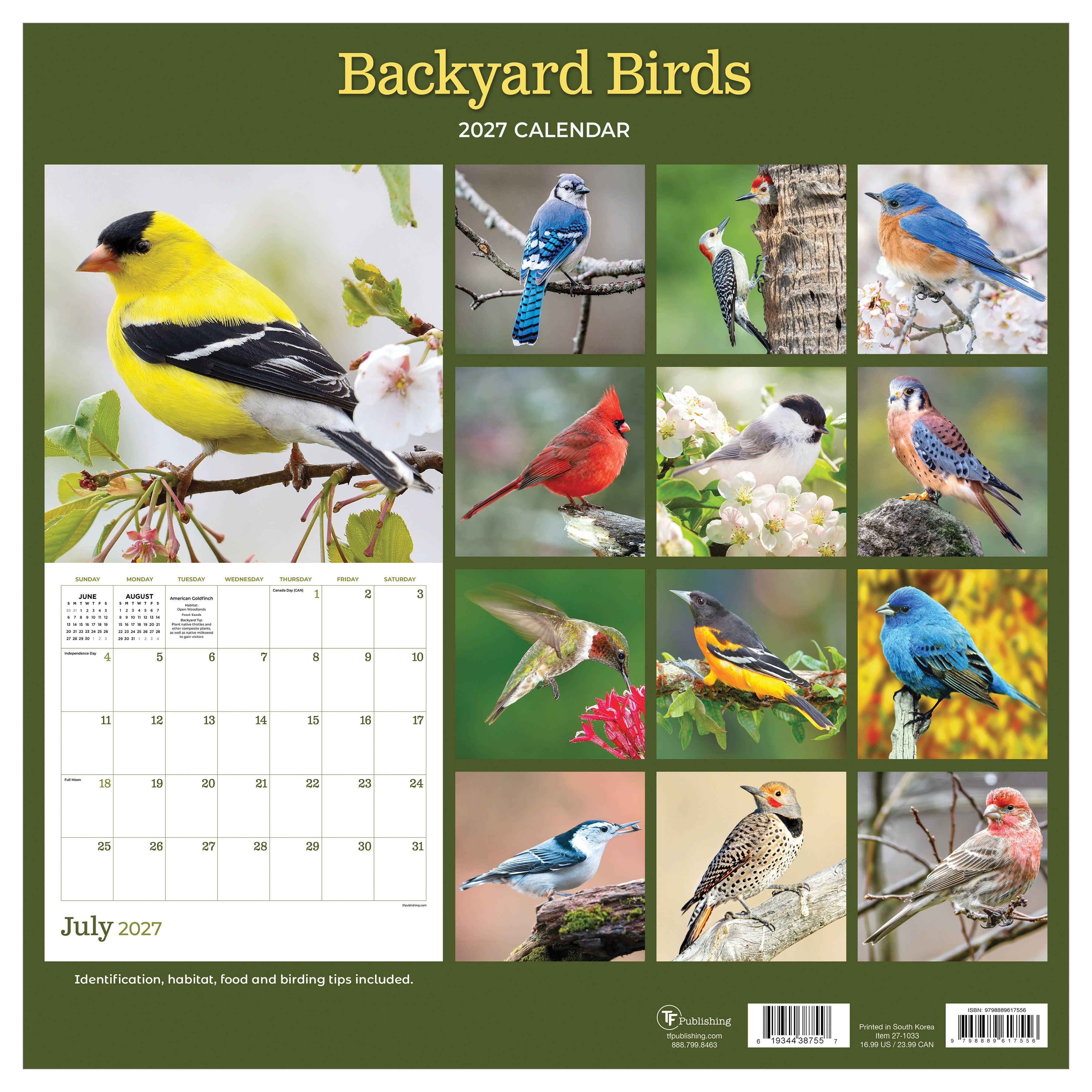2027 Backyard Birds - Square Wall Calendar