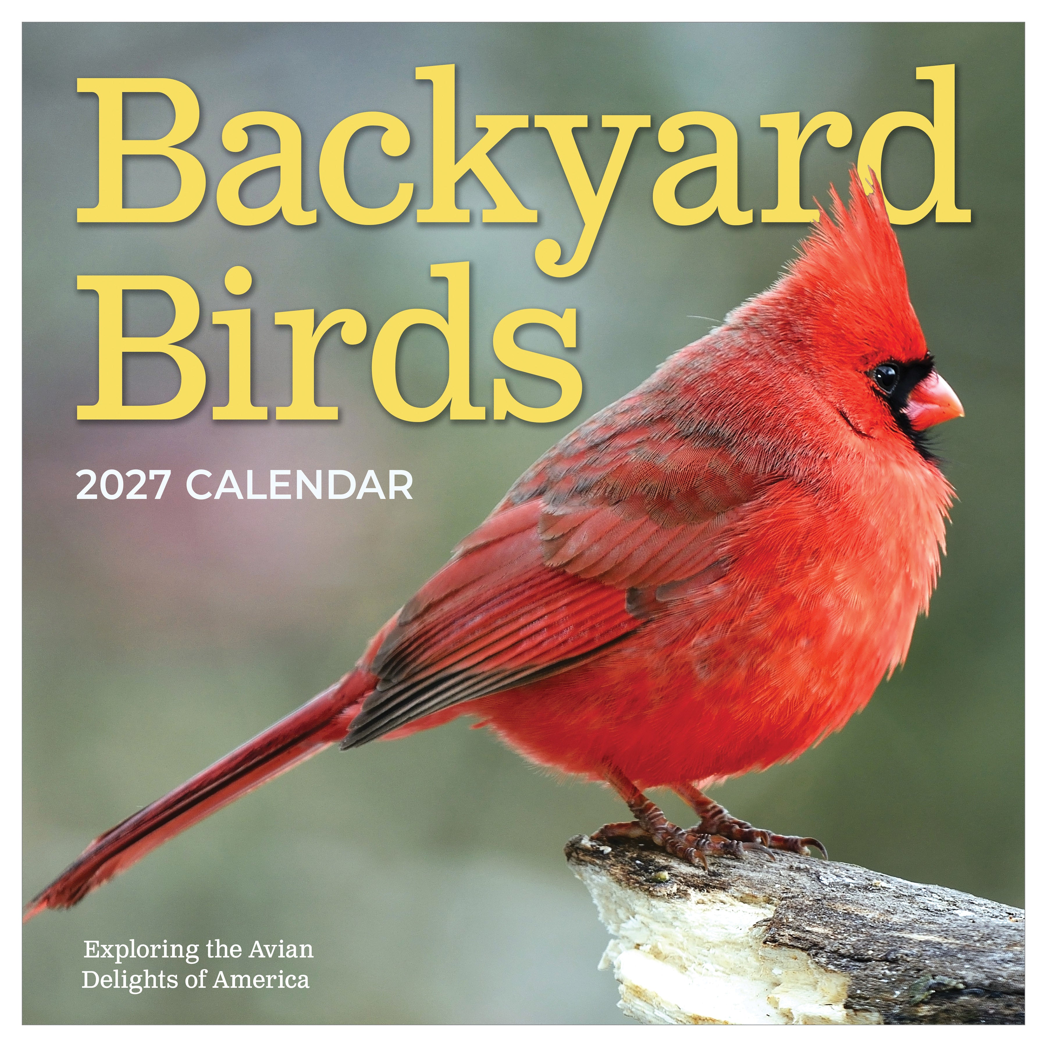 2027 Backyard Birds - Square Wall Calendar