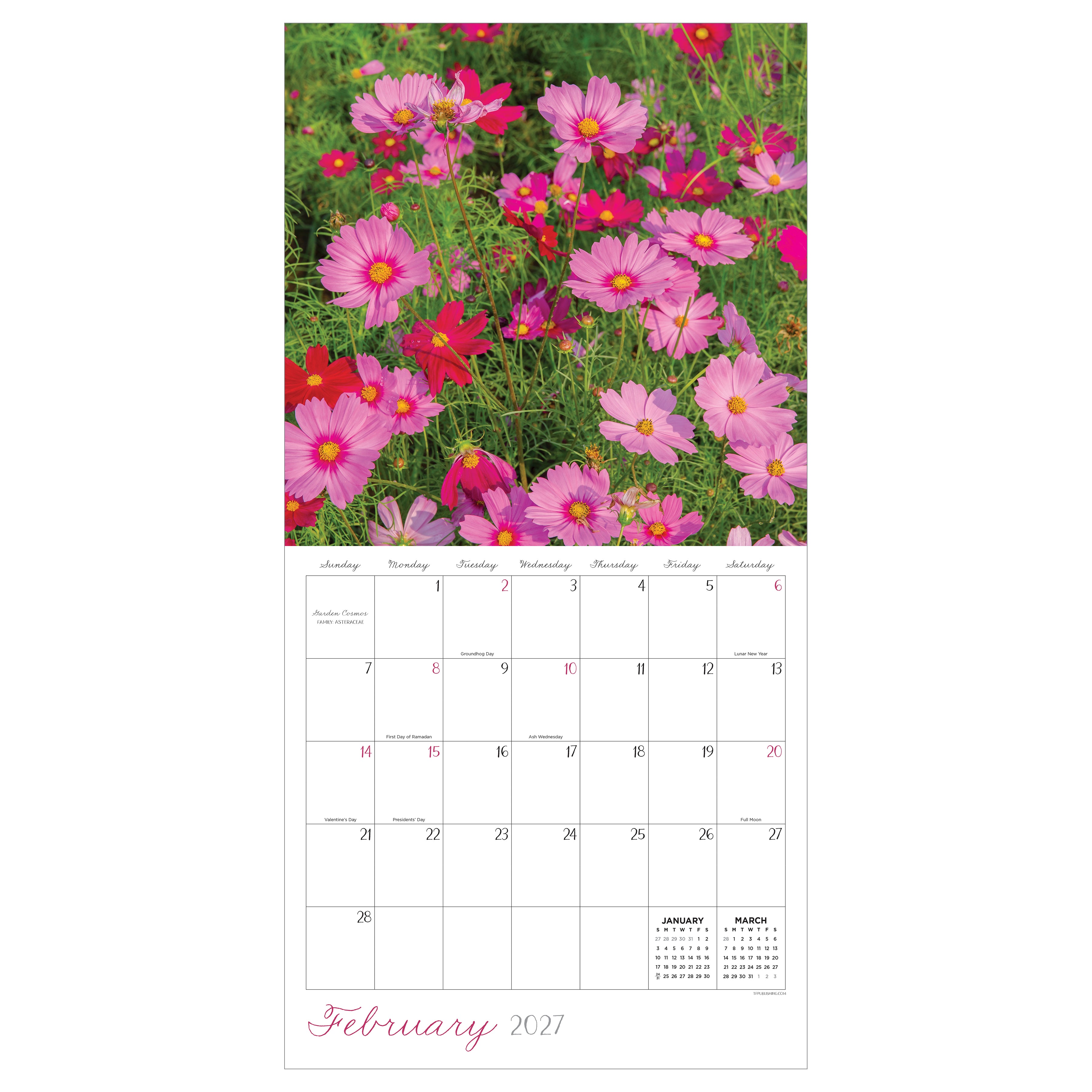 2027 Flowers - Square Wall Calendar
