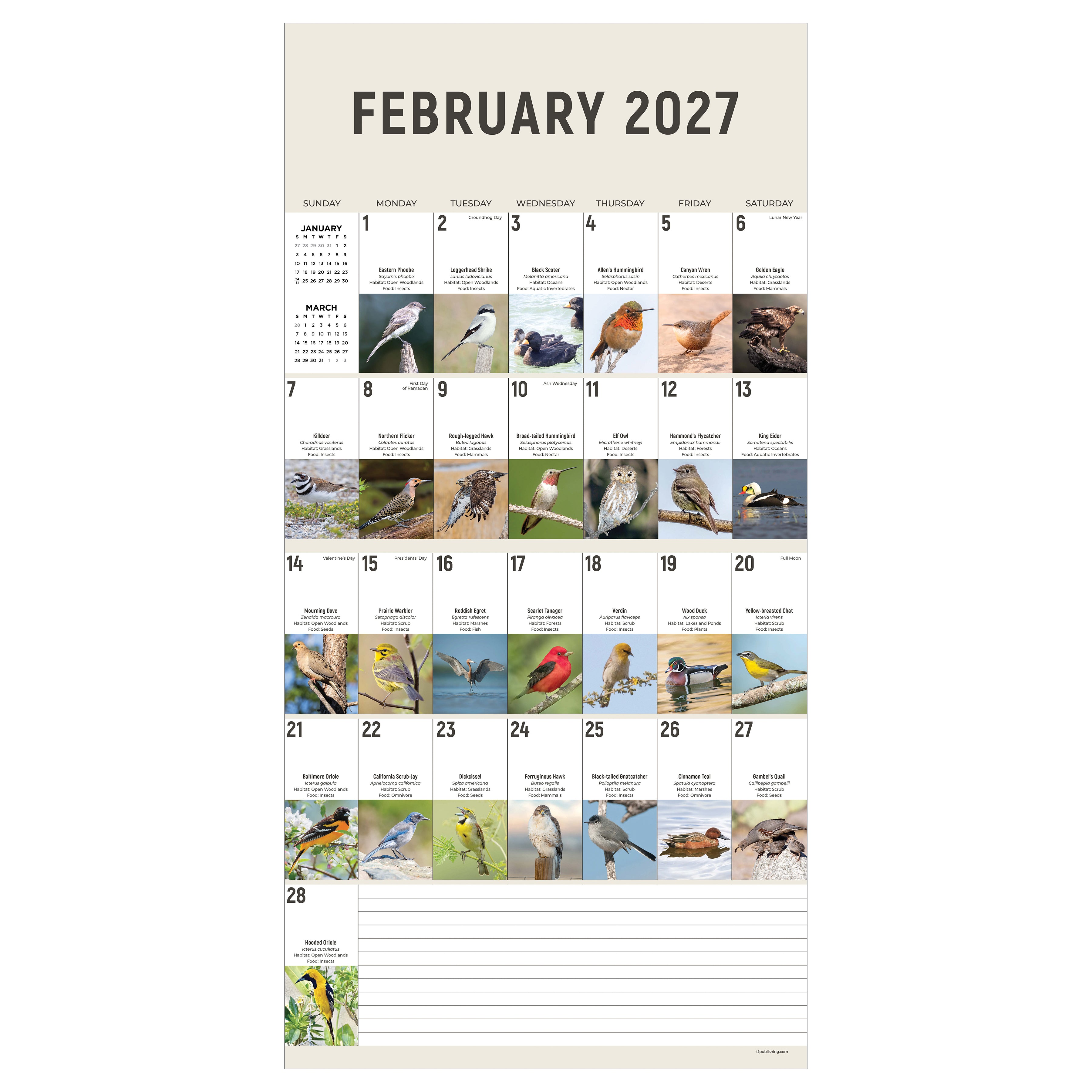 2027 Birds: Backyard and Beyond - Square Wall Calendar