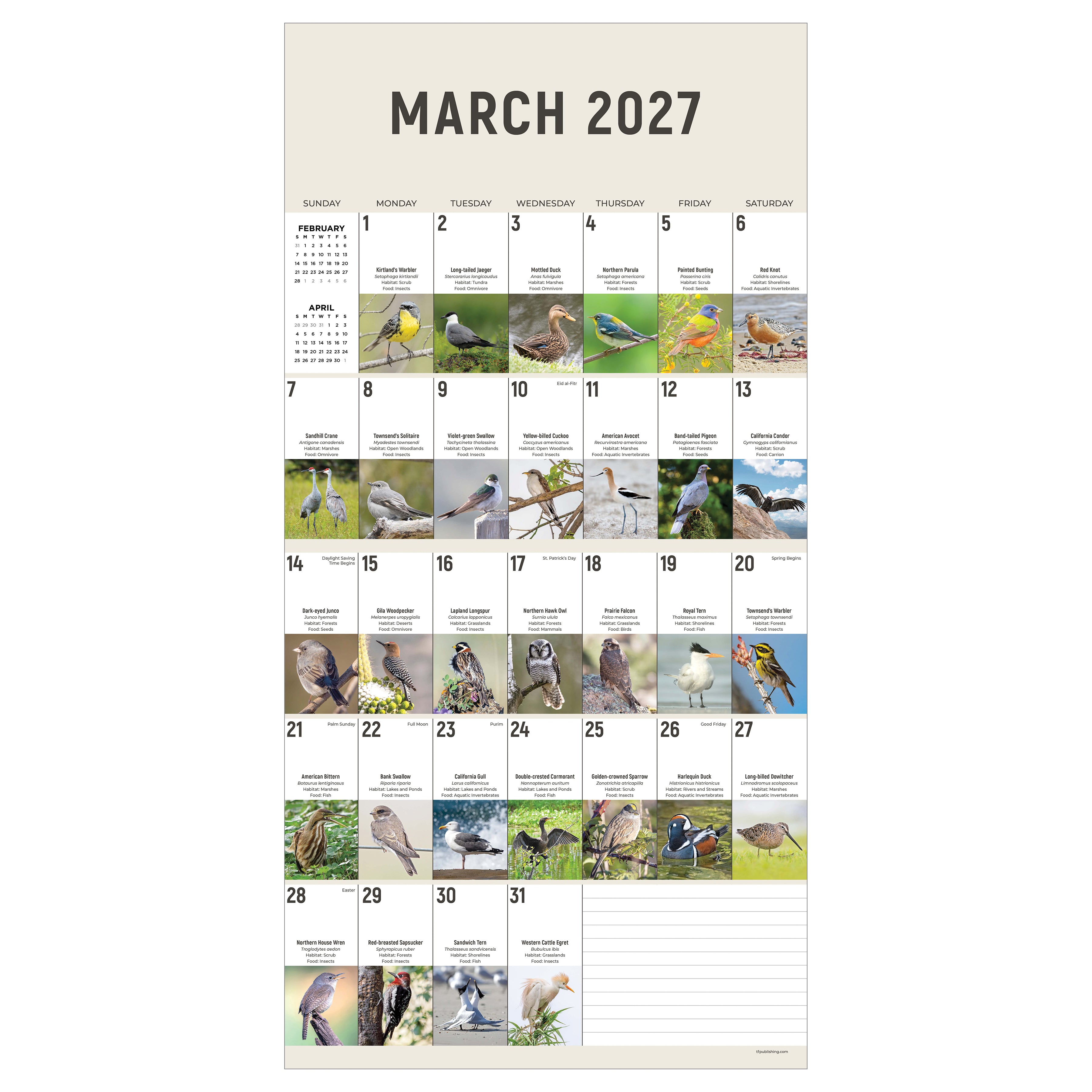 2027 Birds: Backyard and Beyond - Square Wall Calendar