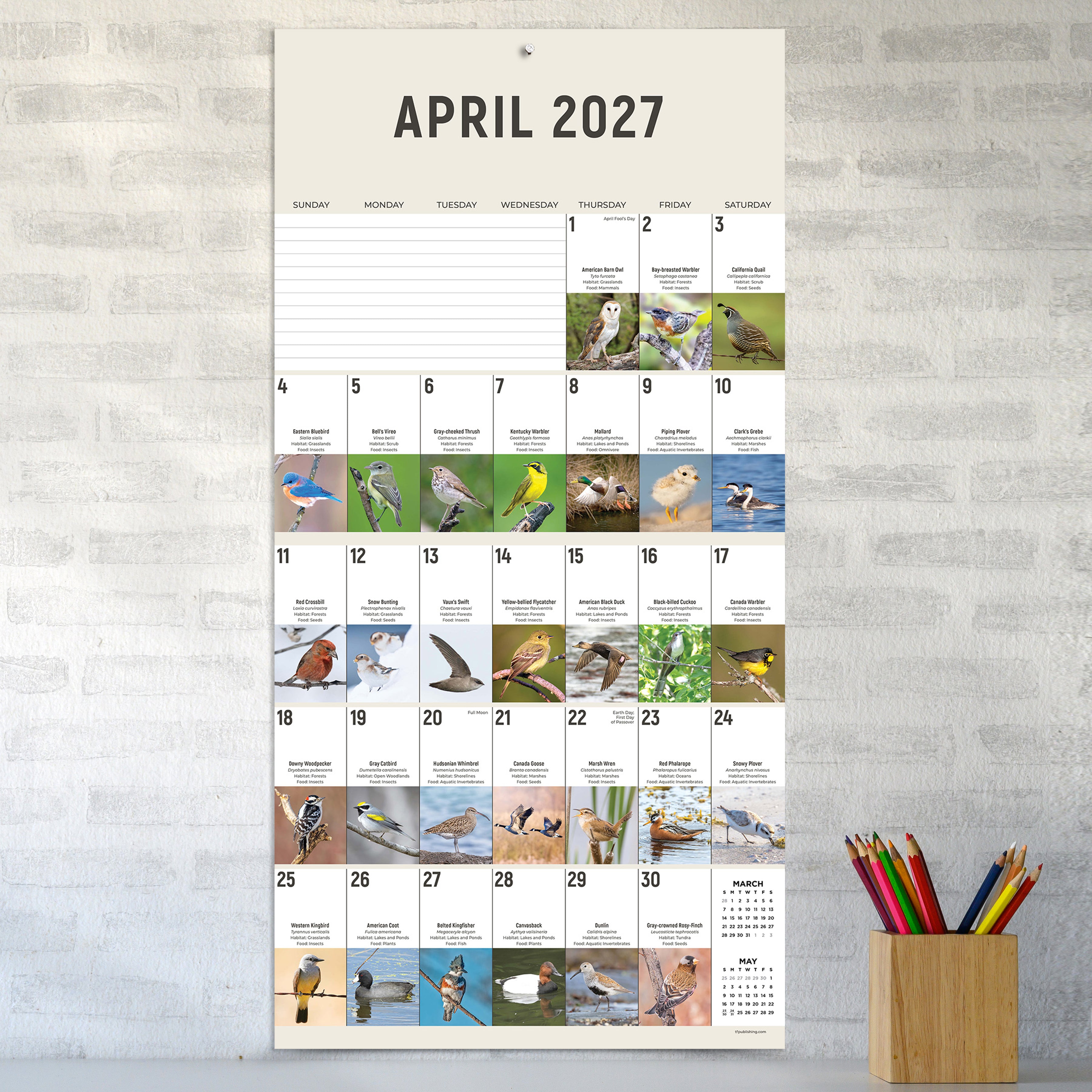 2027 Birds: Backyard and Beyond - Square Wall Calendar