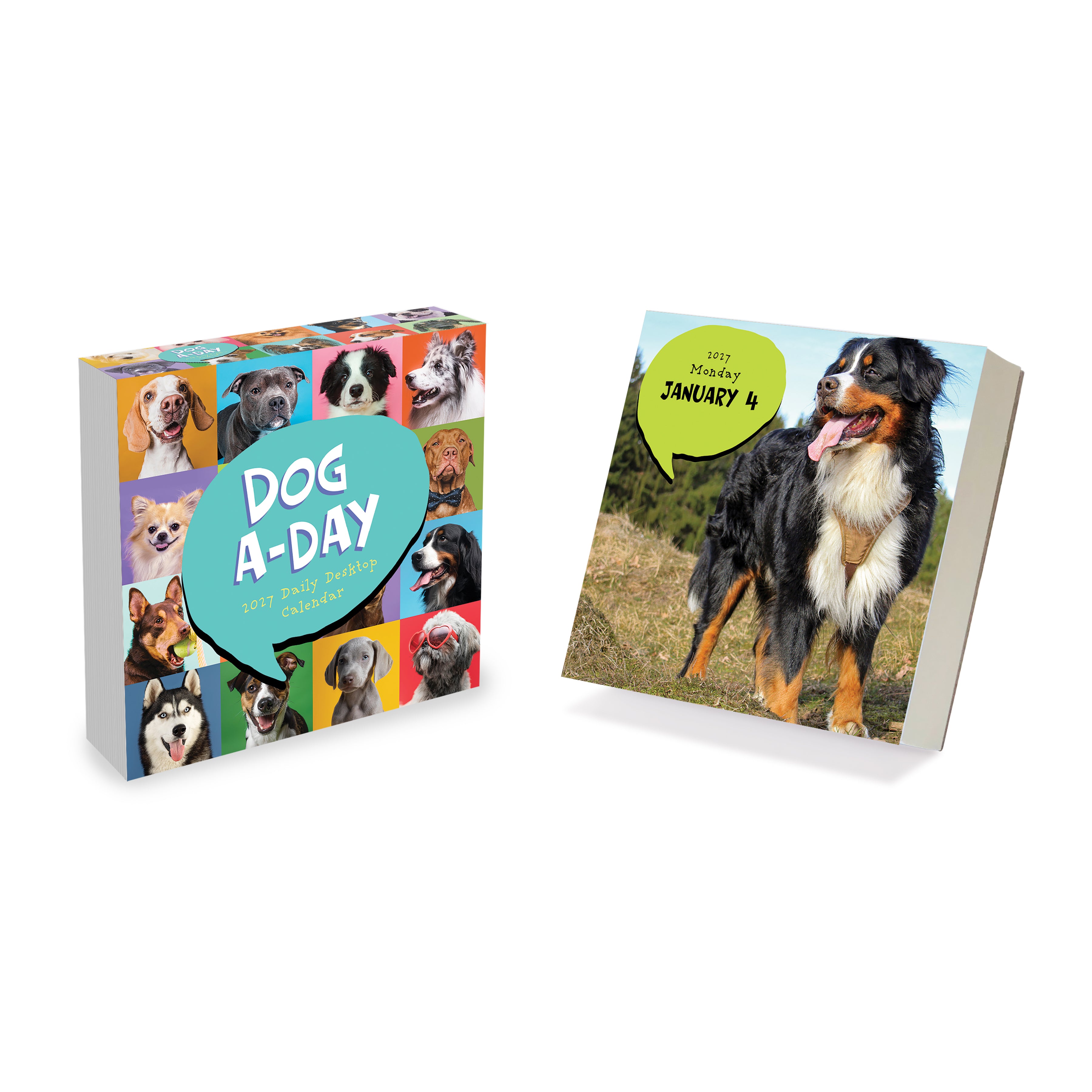 2027 Dog A Day - Boxed Page-A-Day Calendar