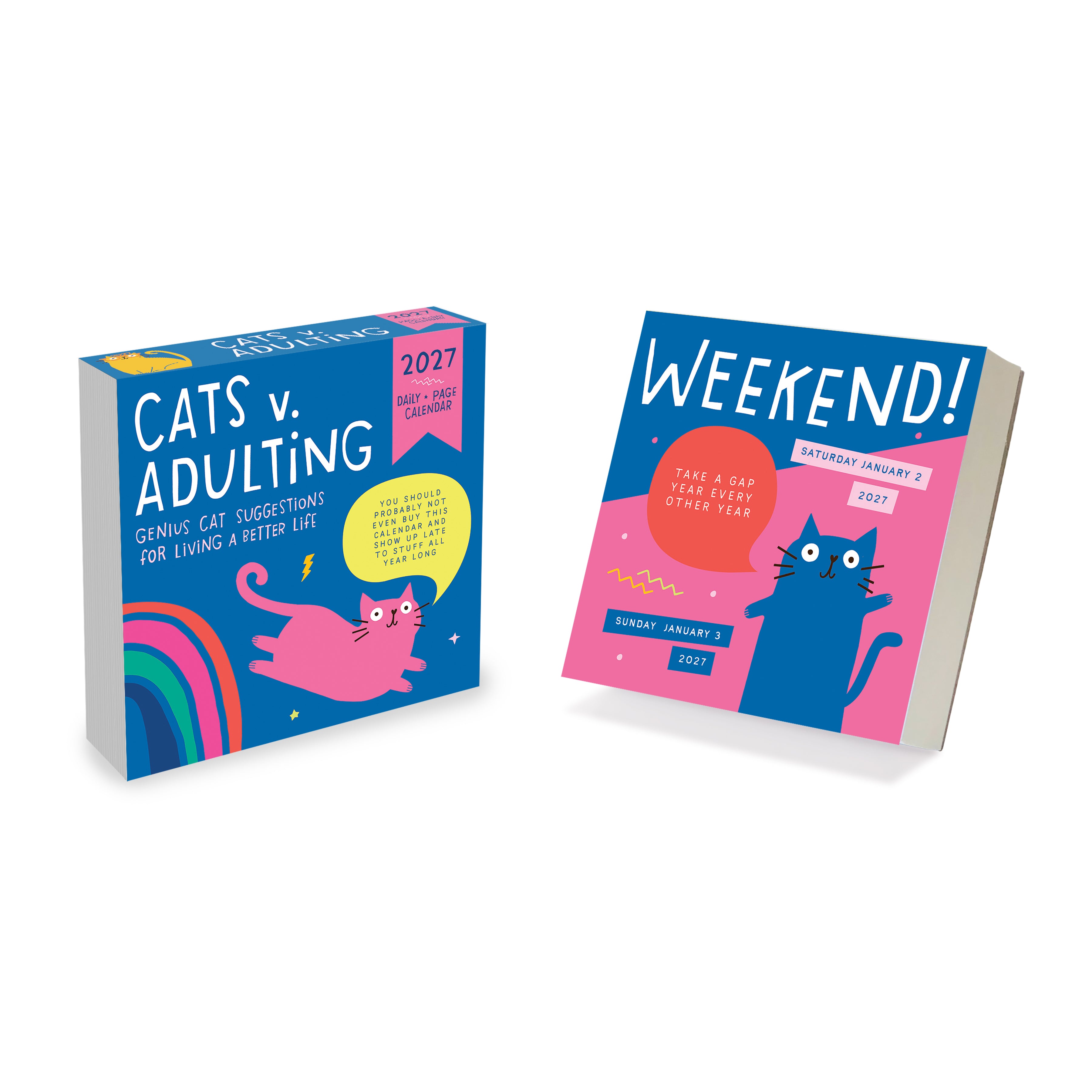 2027 Cats vs Adulting by Amy Smyth - Boxed Page-A-Day Calendar