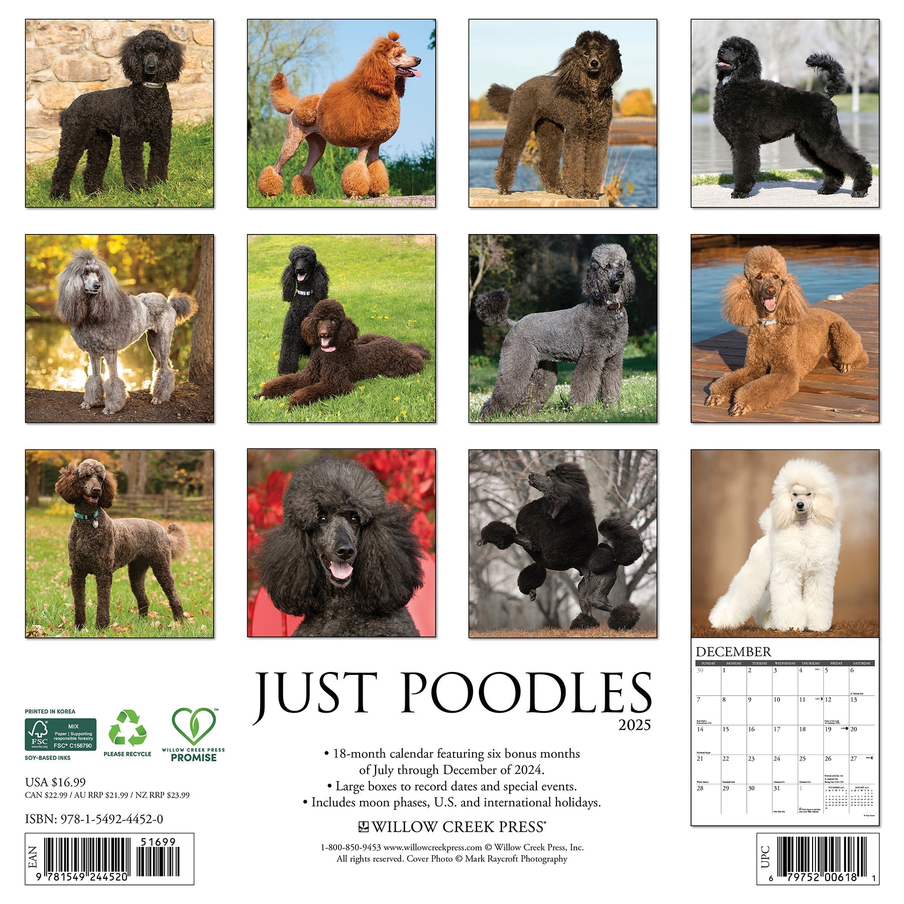 2025 Poodles - Square Wall Calendar (US Only)