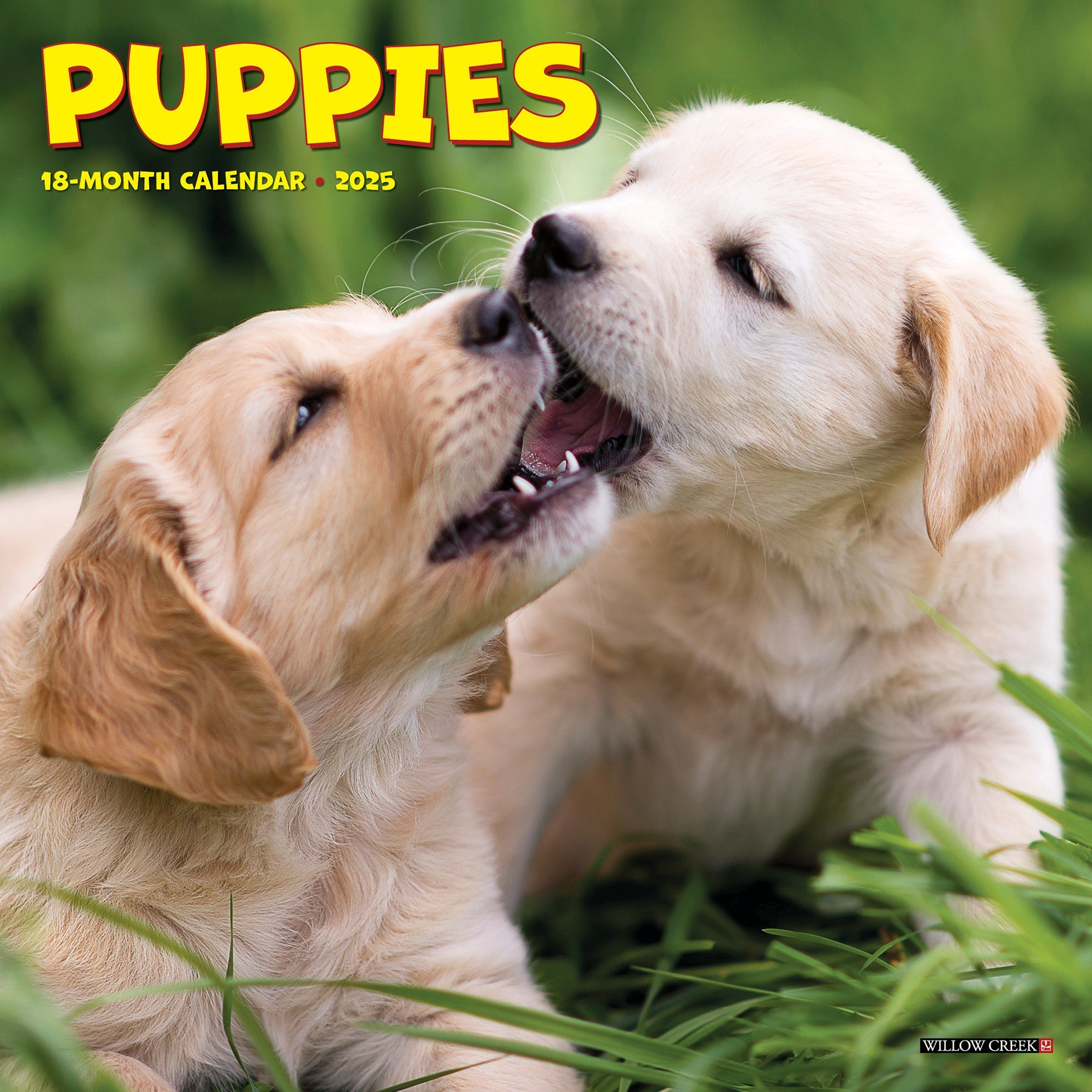 2025 Puppies - Mini Wall Calendar (US Only)