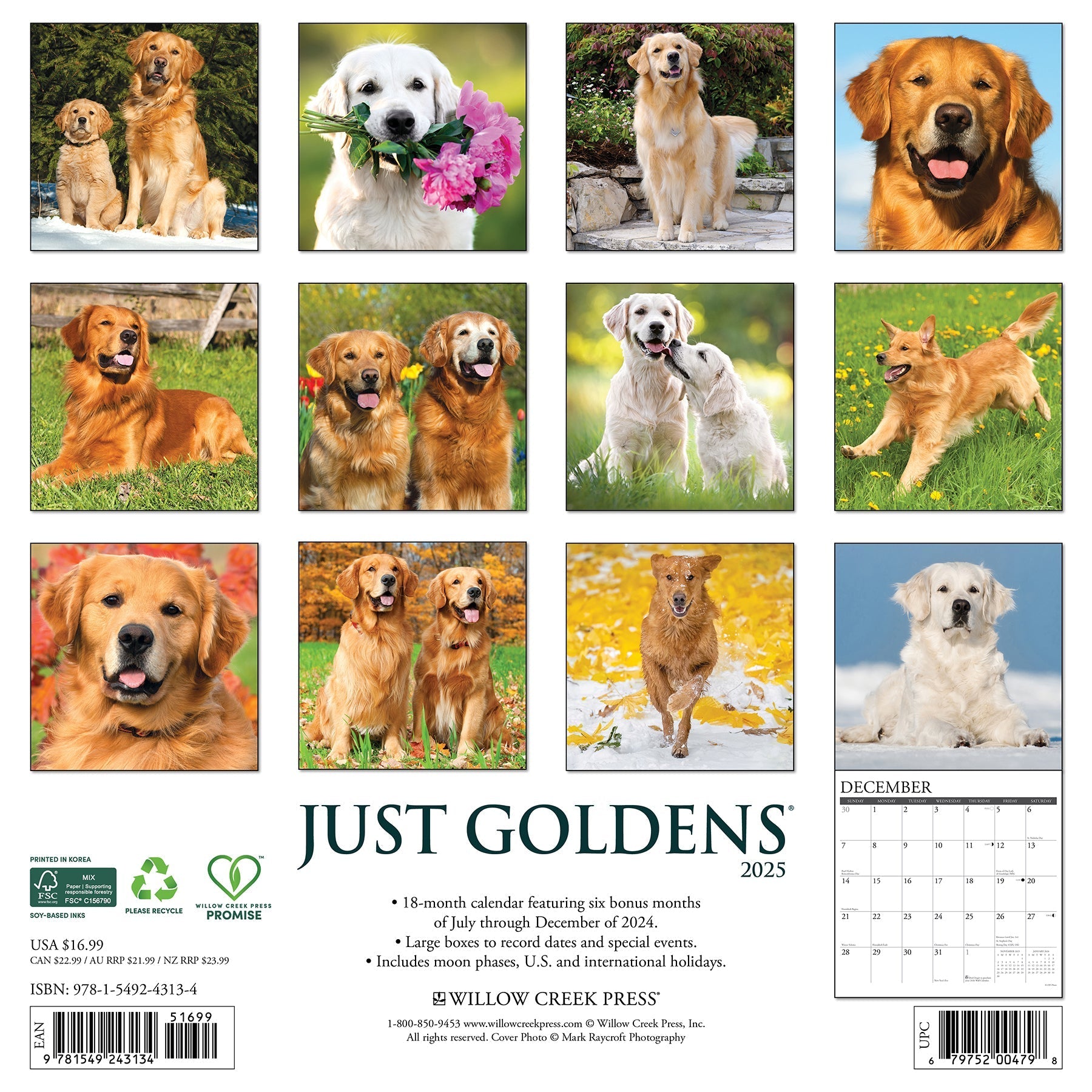 2025 Goldens - Square Wall Calendar (US Only)