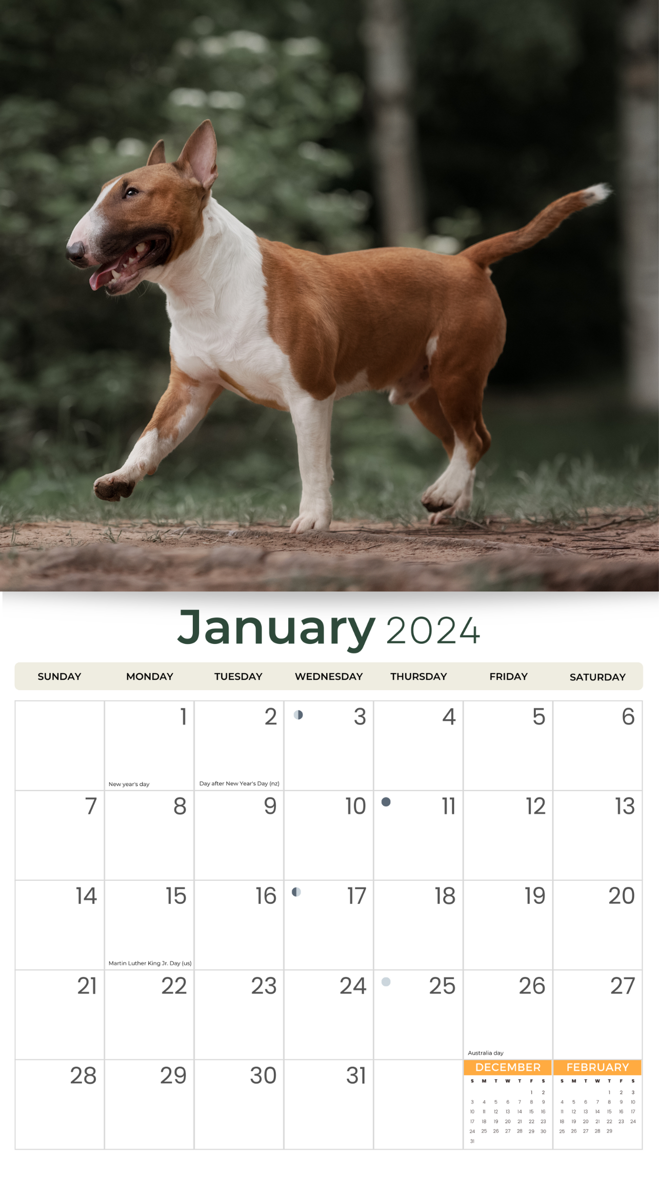 2024 Bull Terriers Dogs & Puppies - Deluxe Wall Calendar by Just Calendars - 16 Month - Plastic Free