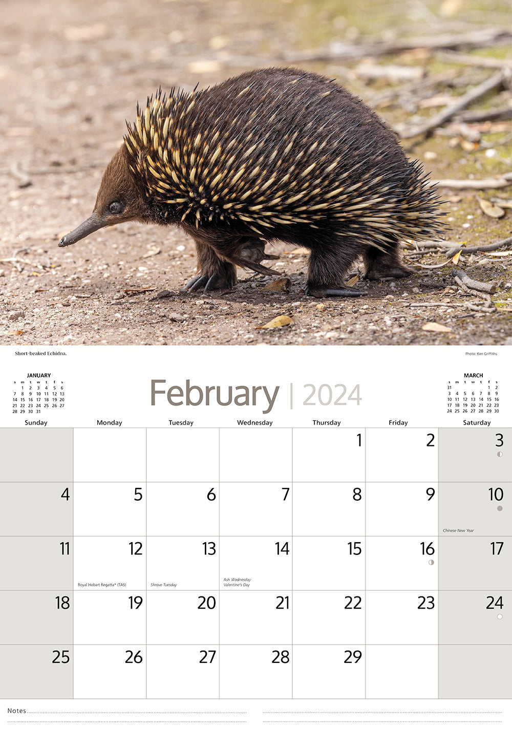 2024 Australian Wildlife (by Artique) - Horizontal Wall Calendar