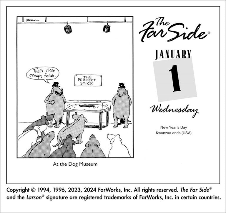 2025 Far Side Off-the-Wall - Daily Boxed Page-A-Day Calendar