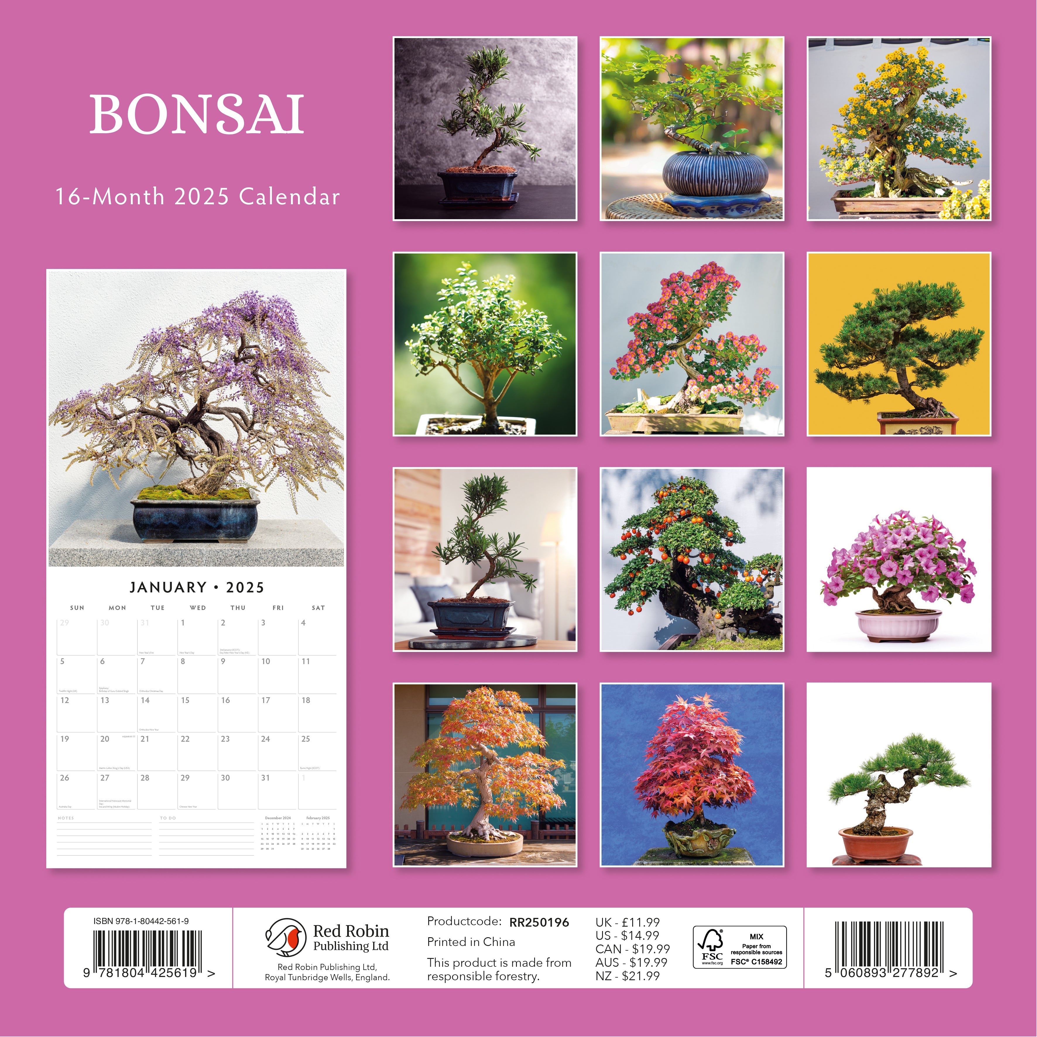 2025 Bonsai - Square Wall Calendar