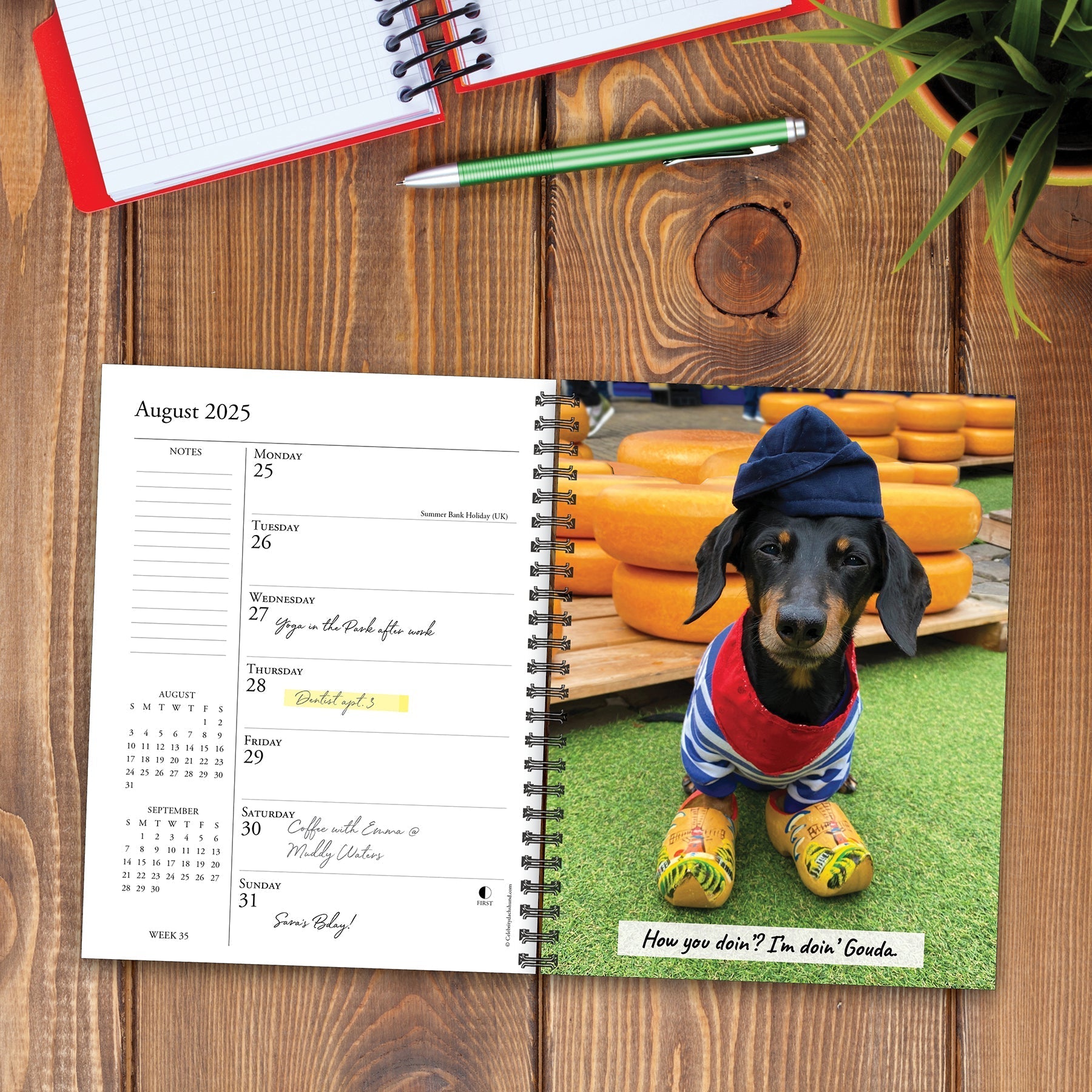 2025 Crusoe the Celebrity Dachshund - Weekly Diary/Planner (US Only)