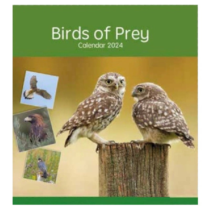 2024 Birds of Prey - Square Wall Calendar