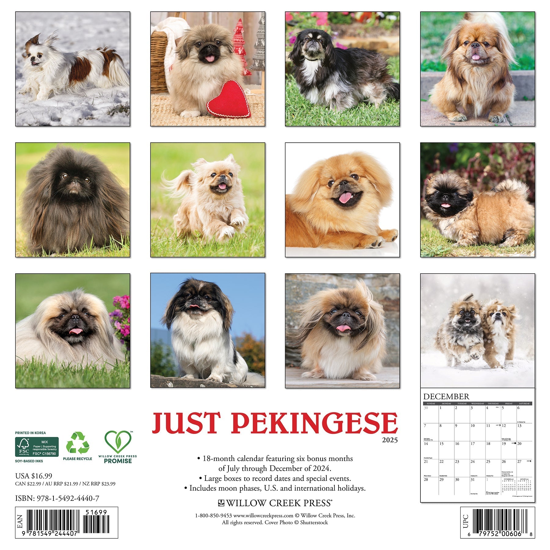 2025 Pekingese - Square Wall Calendar (US Only)