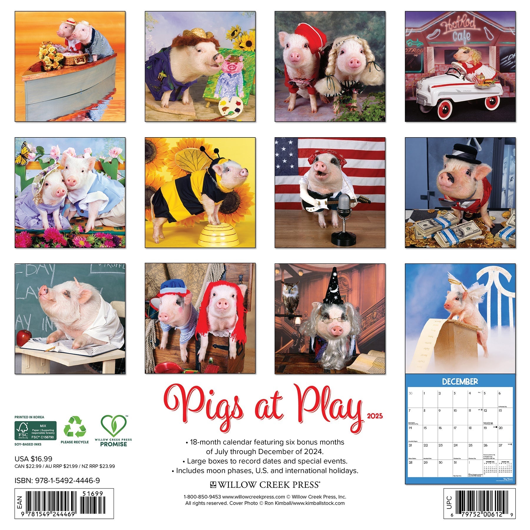 2025 Pigs at Play - Square Wall Calendar (US Only)