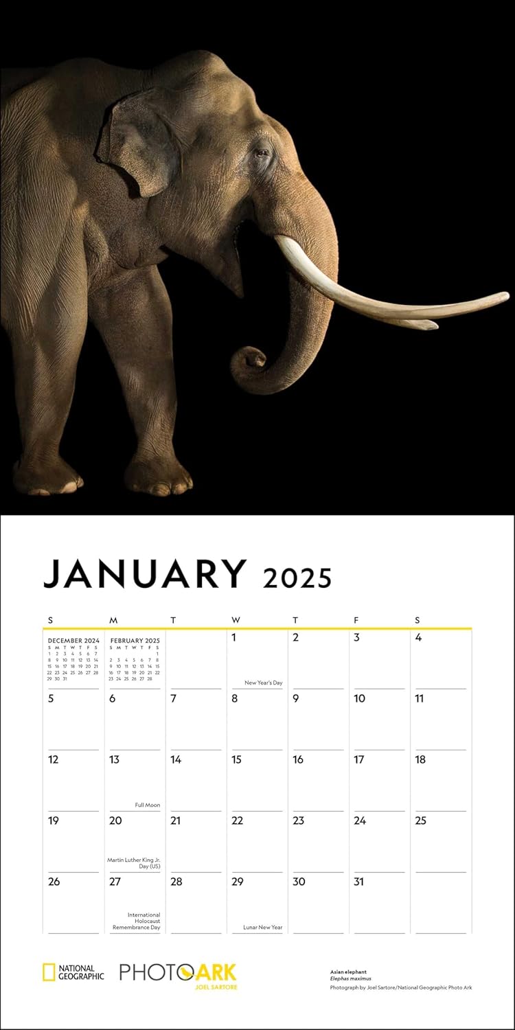 2025 National Geographic: Photo Ark - Endangered Species - Square Wall Calendar