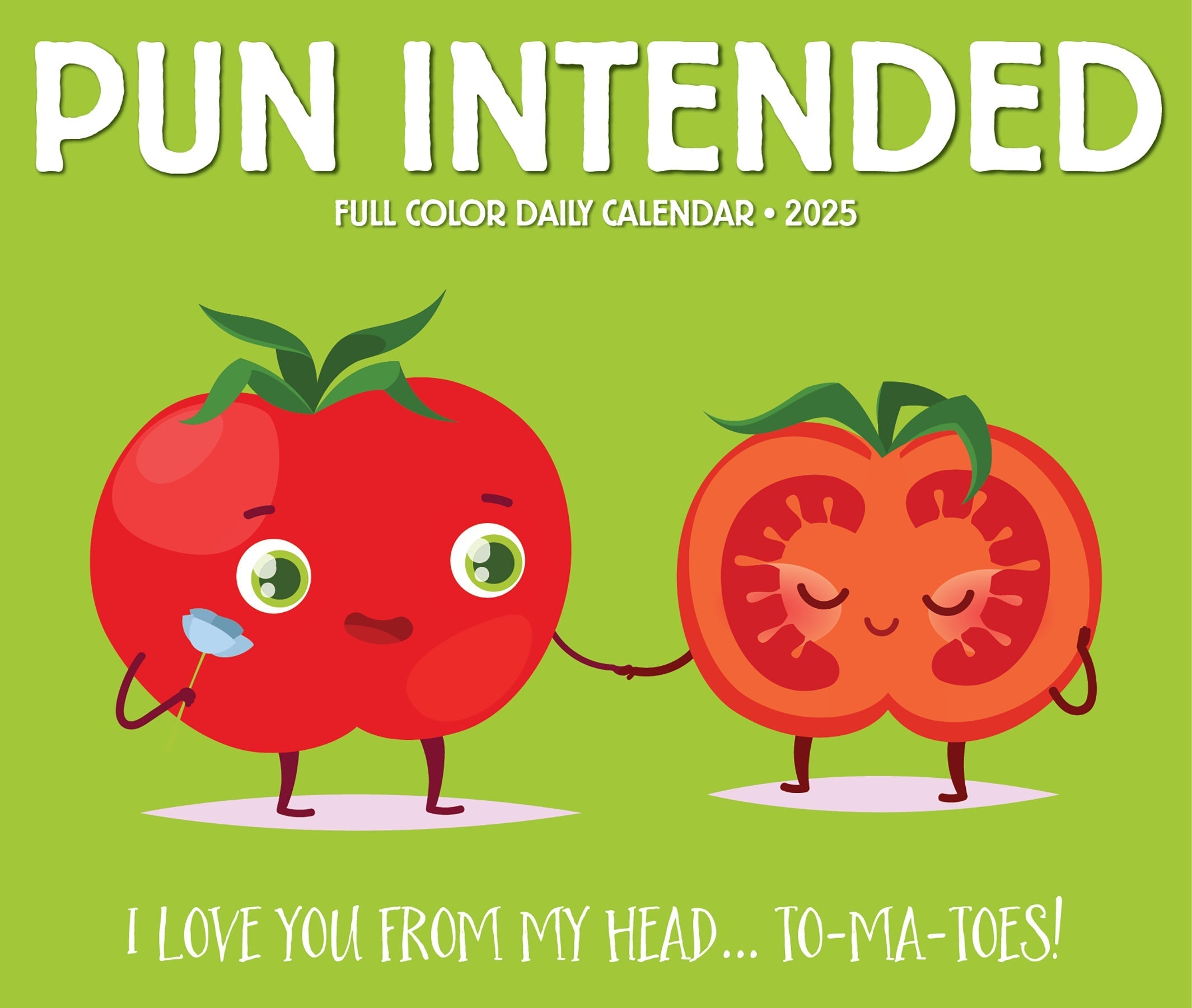 2025 Pun Intended - Daily Boxed Page-A-Day Calendar (US Only)