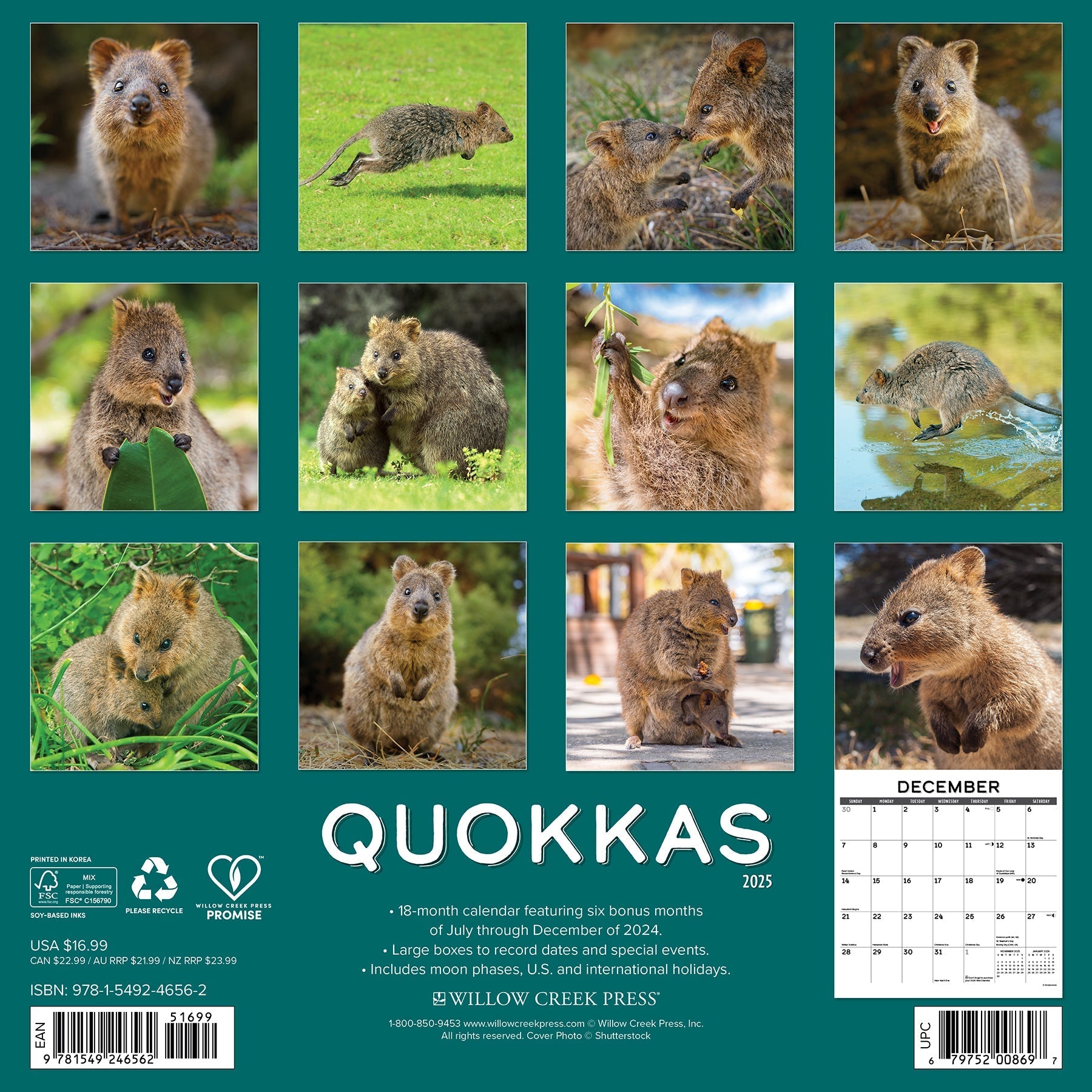 2025 Quokkas - Square Wall Calendar (US Only)