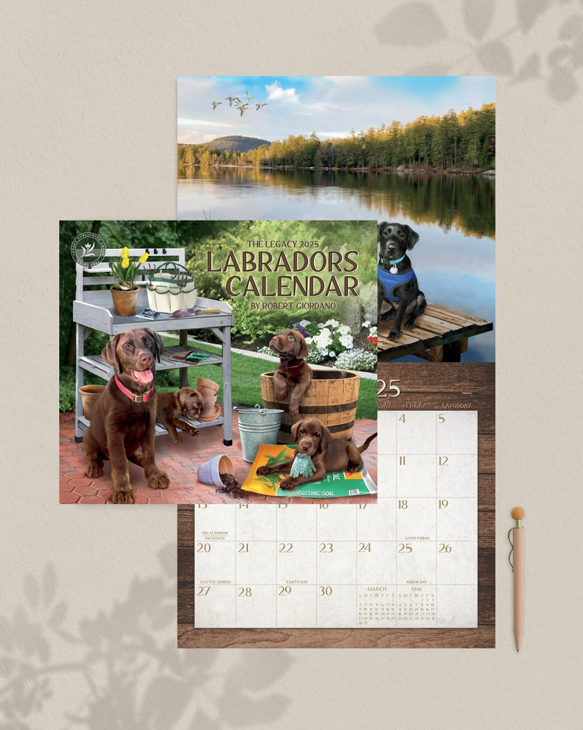 2025 Legacy Labradors - Deluxe Wall Calendar