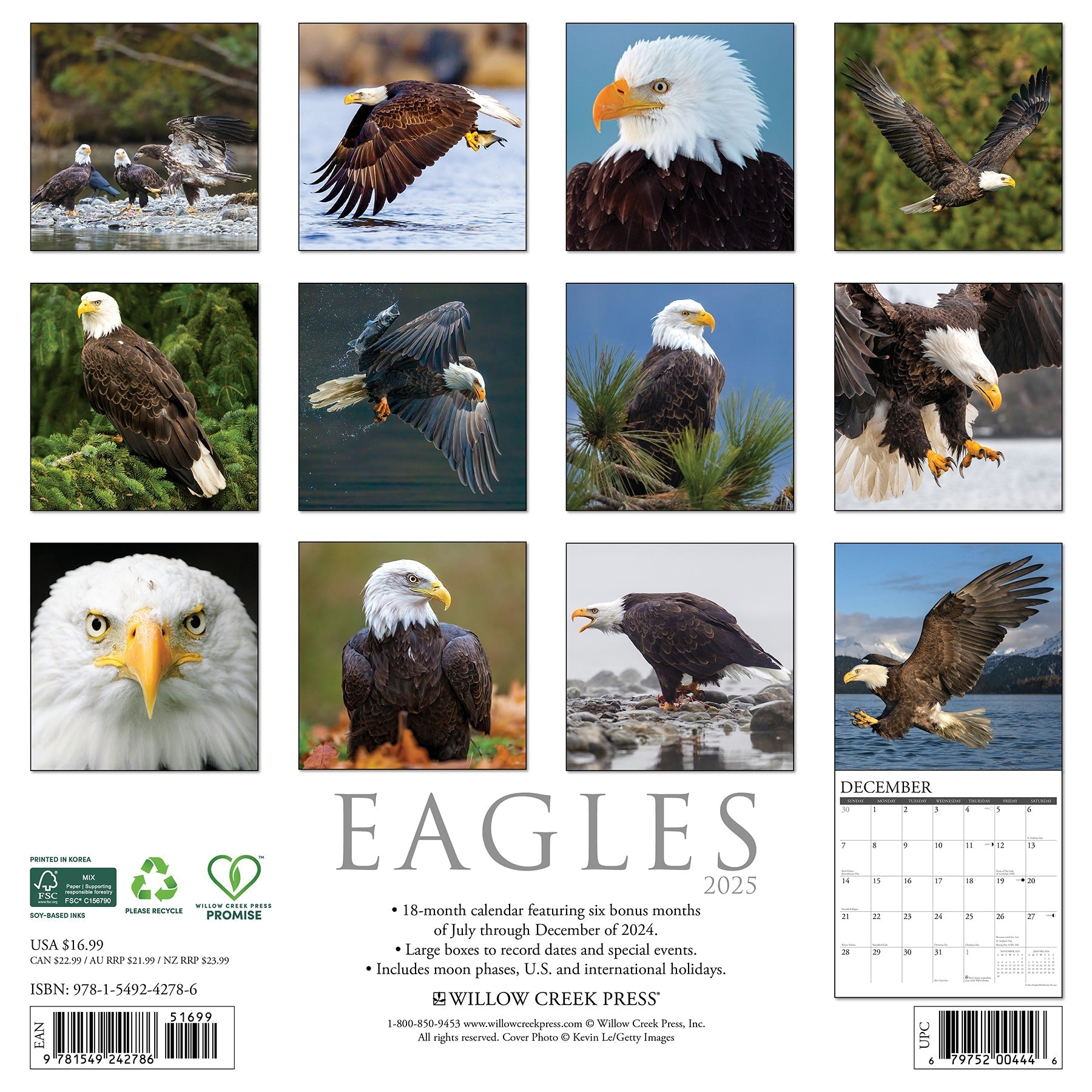 2025 Eagles - Square Wall Calendar (US Only)