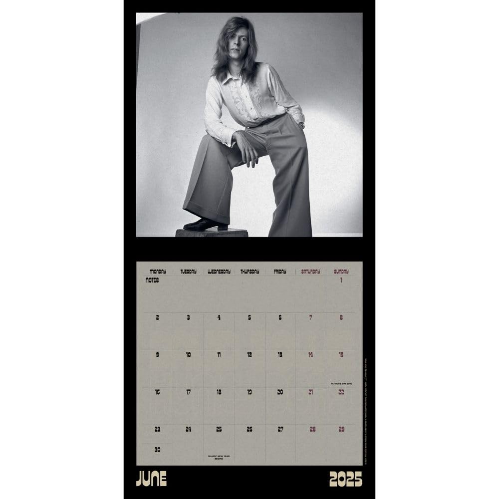 2025 David Bowie Collector's Edition Record Sleeve - Square Wall Calendar