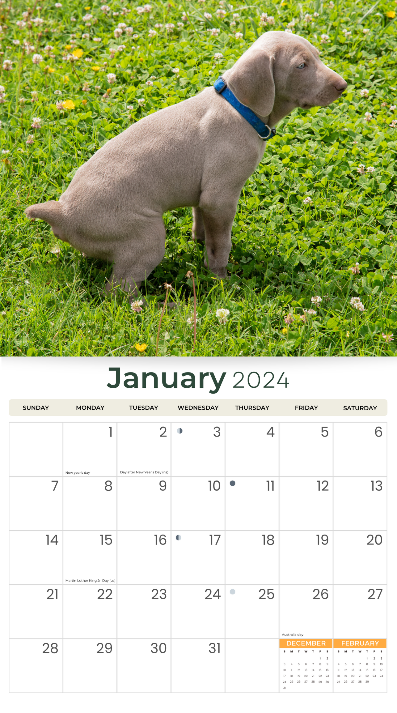 2024 Oh Crap! Pooping Dogs - Deluxe Wall Funny Humour Calendar by Just Calendars - 16 Month - Plastic Free
