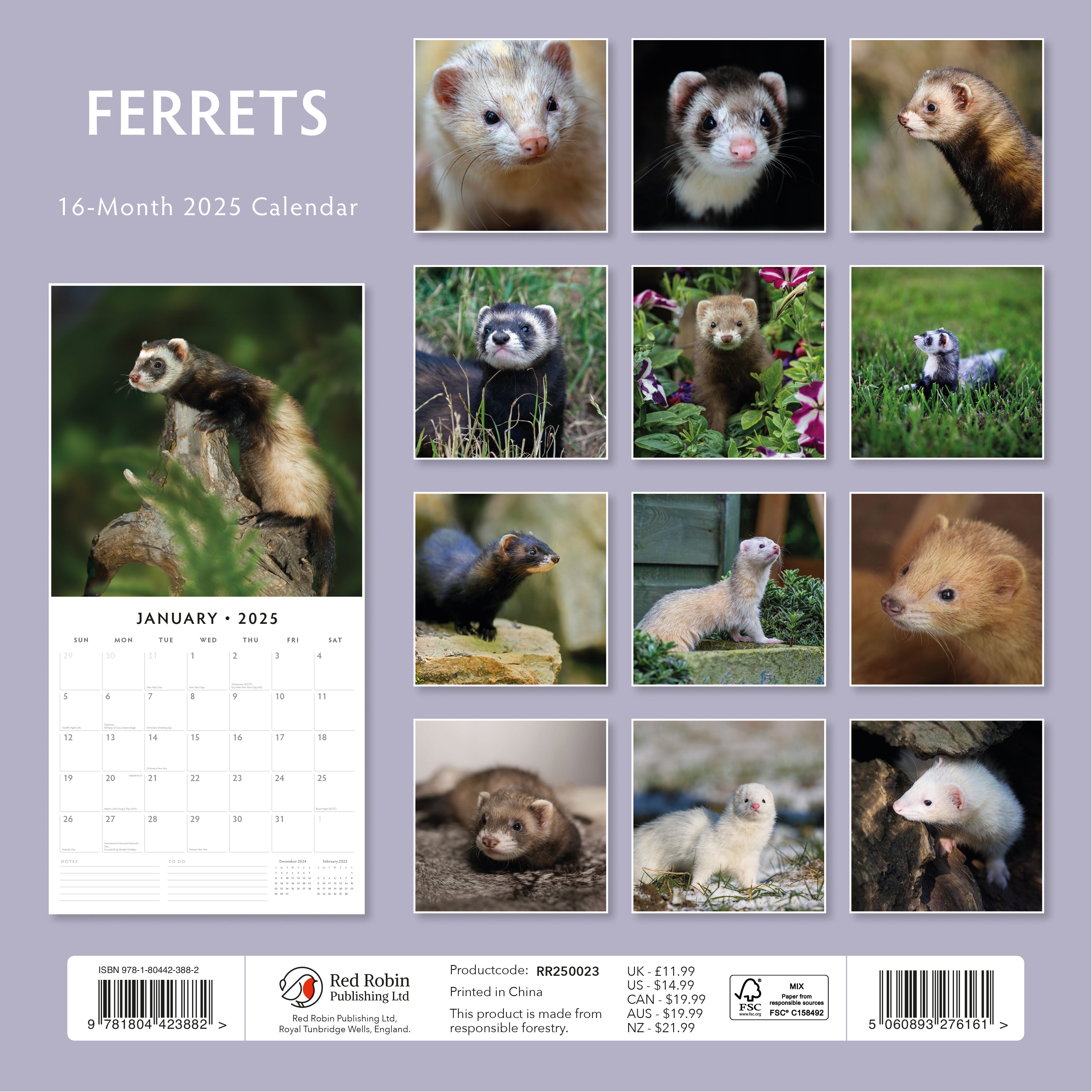 2025 Ferrets - Square Wall Calendar