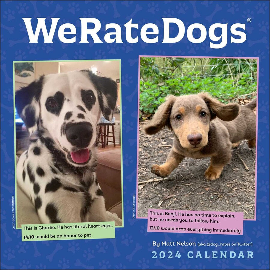 2024 We Rate Dogs - Square Wall Calendar