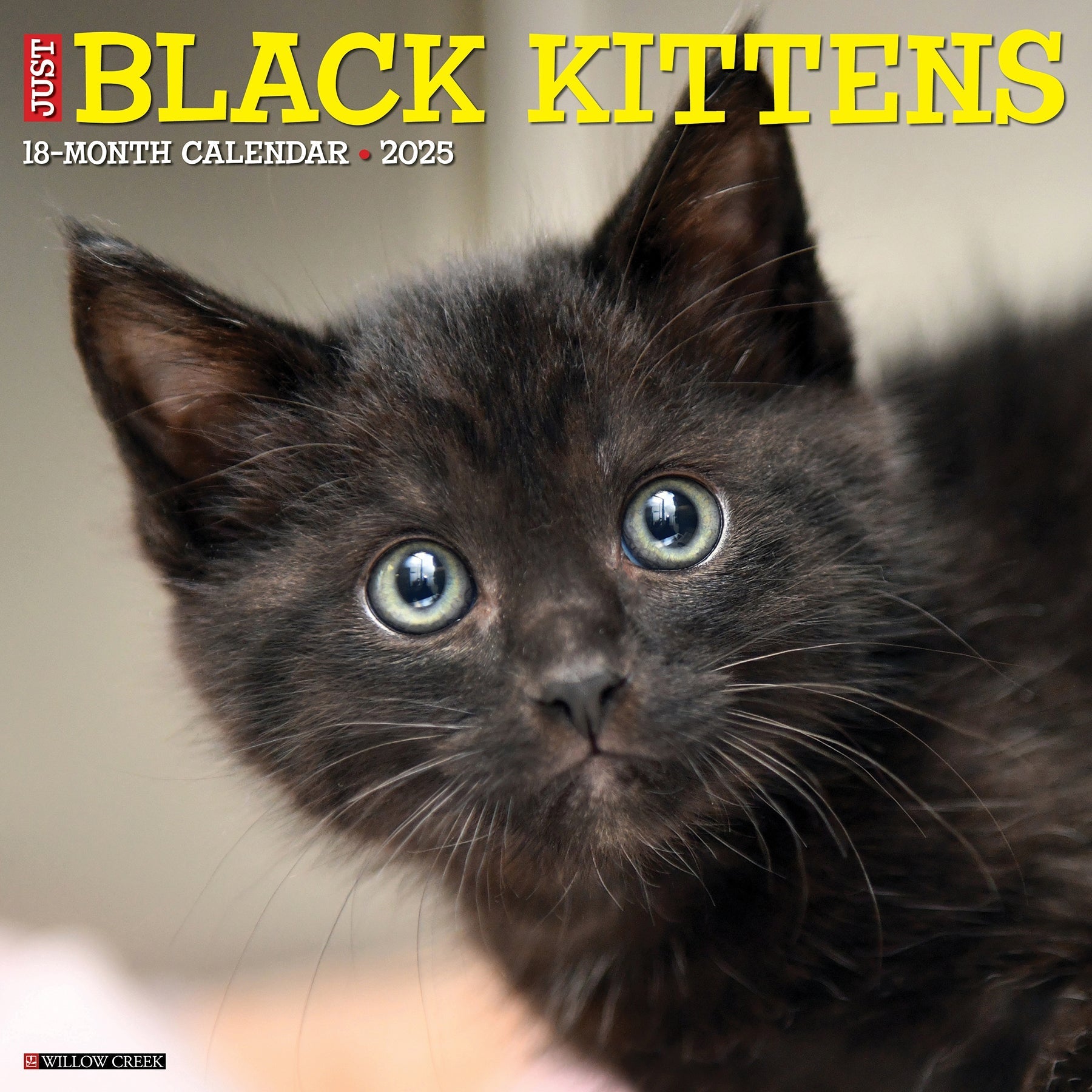 2025 Black Kittens - Square Wall Calendar (US Only)