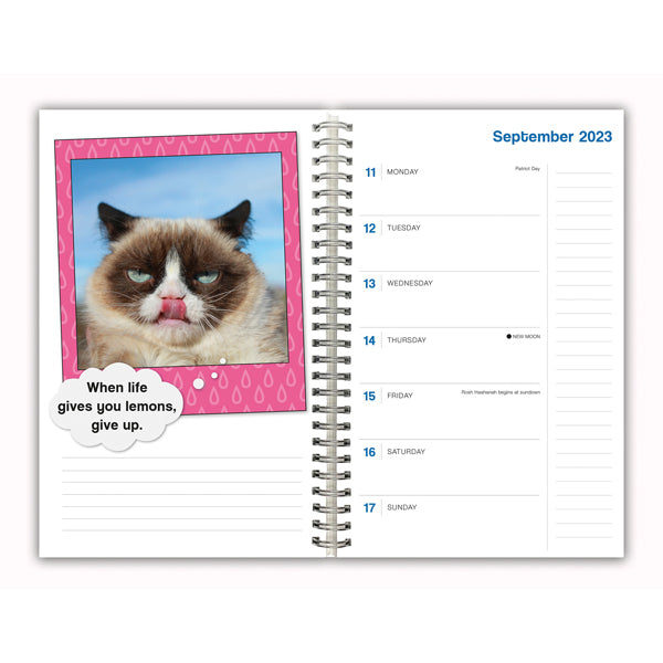 2024 Grumpy Cat - Engagement Diary/Planner Calendar
