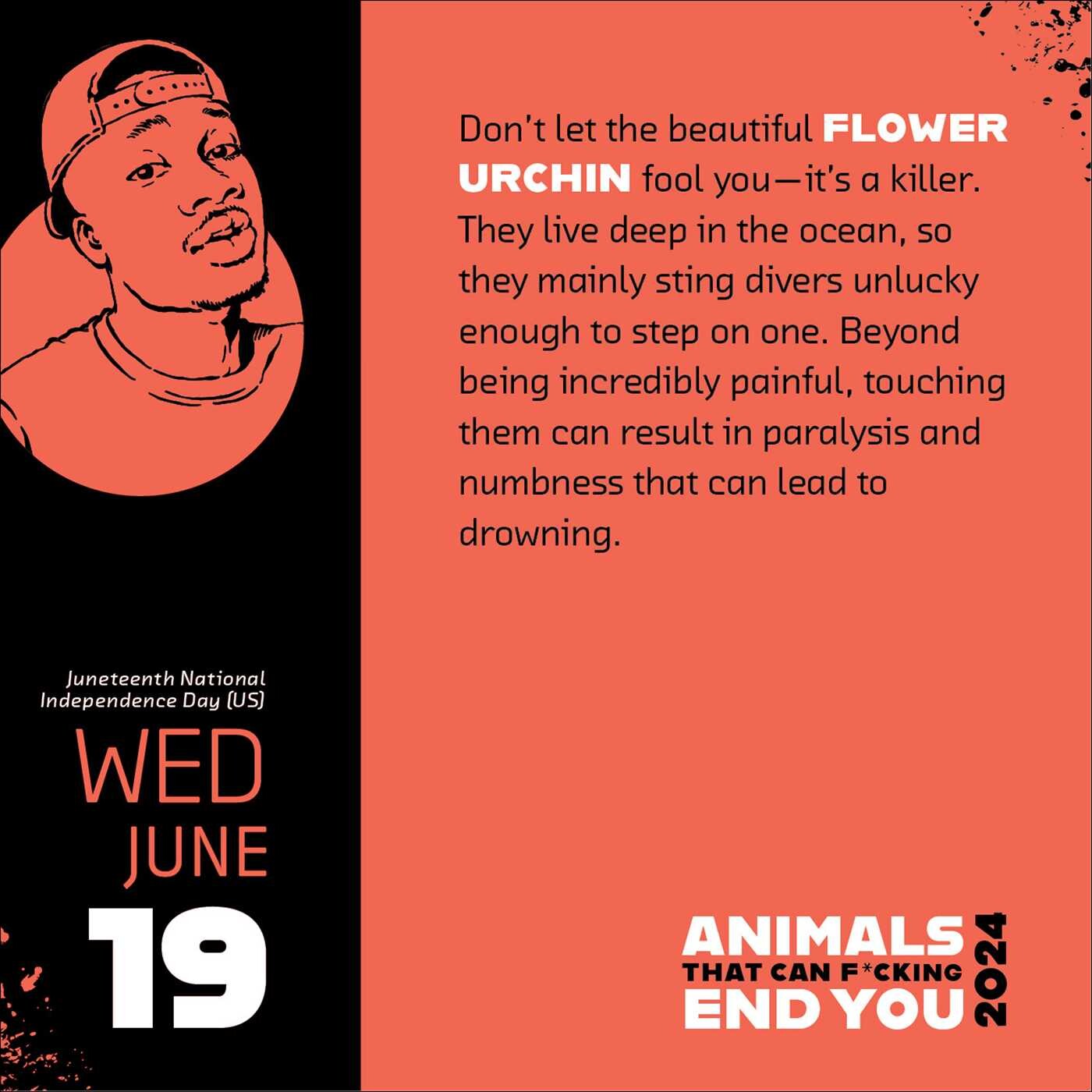 2024 Animals That Can F*cking End You - Boxed Page-A-Day Calendar  SOLD OUT