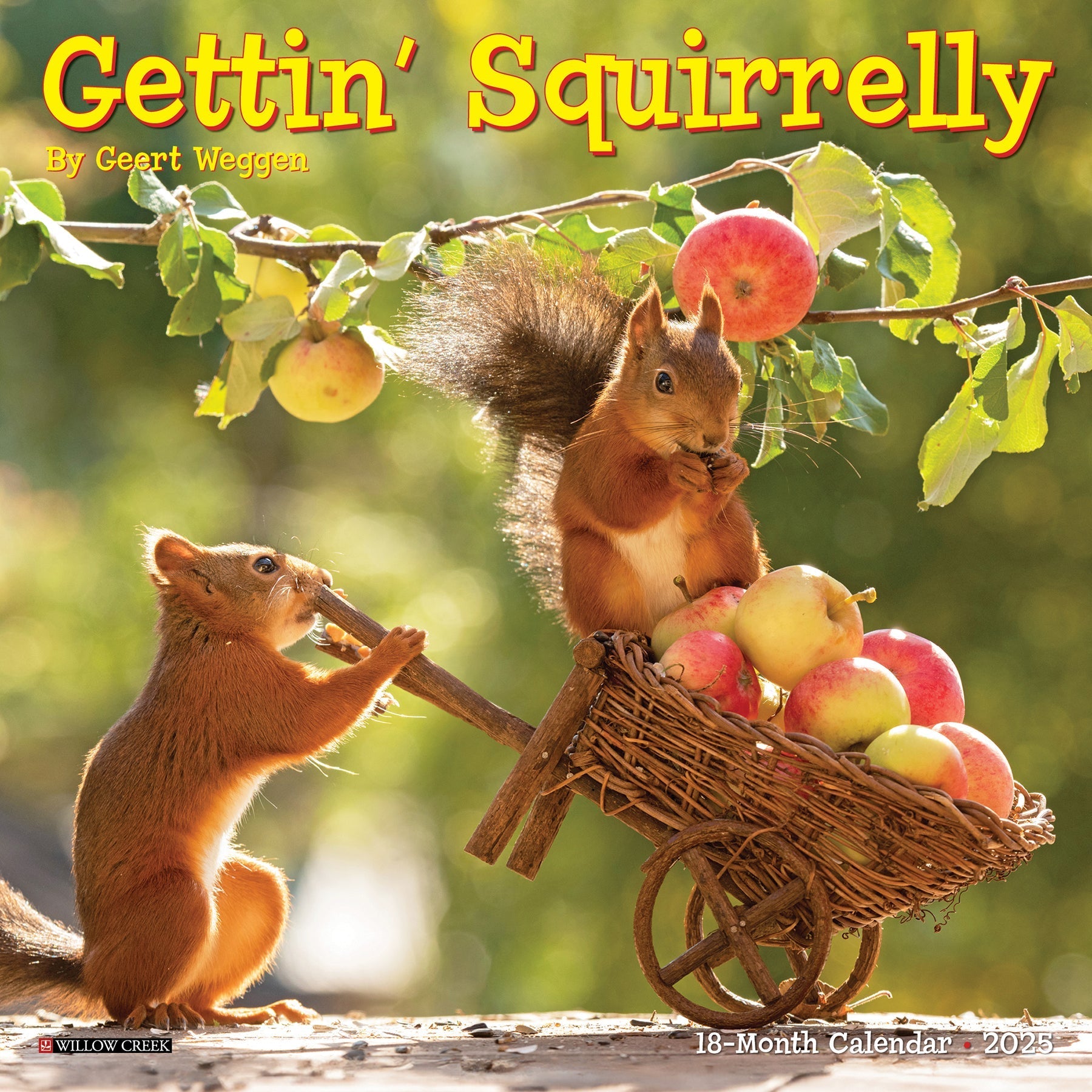 2025 Gettin' Squirrelly - Mini Wall Calendar (US Only)