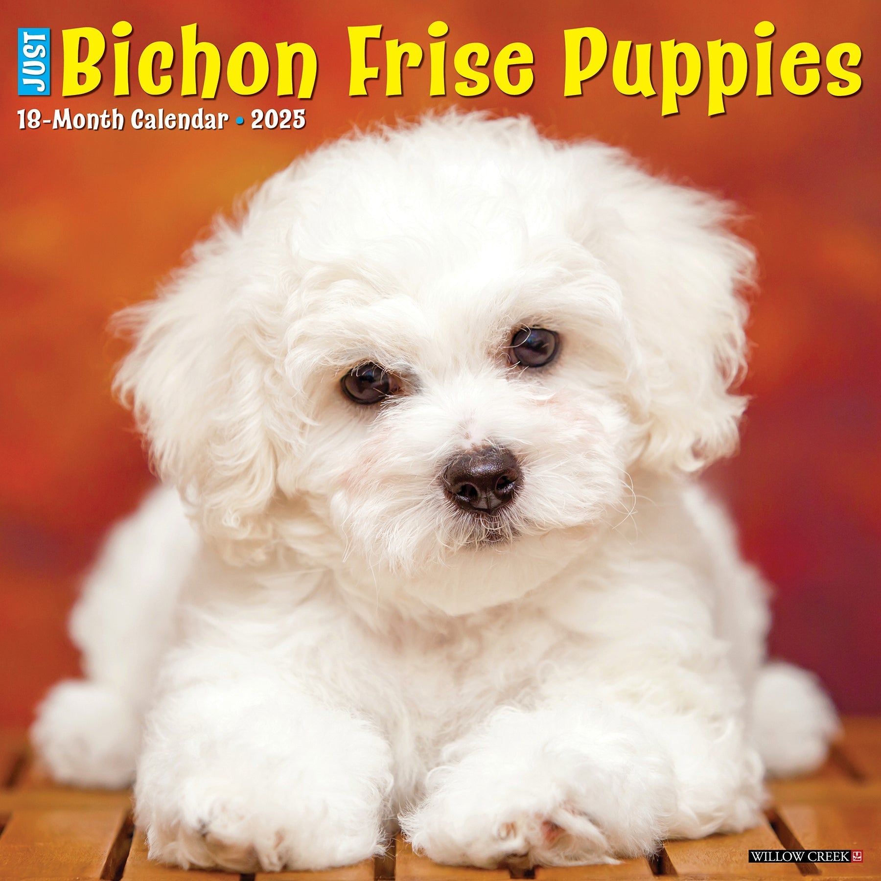 2025 Bichon Frise Puppies - Square Wall Calendar (US Only)